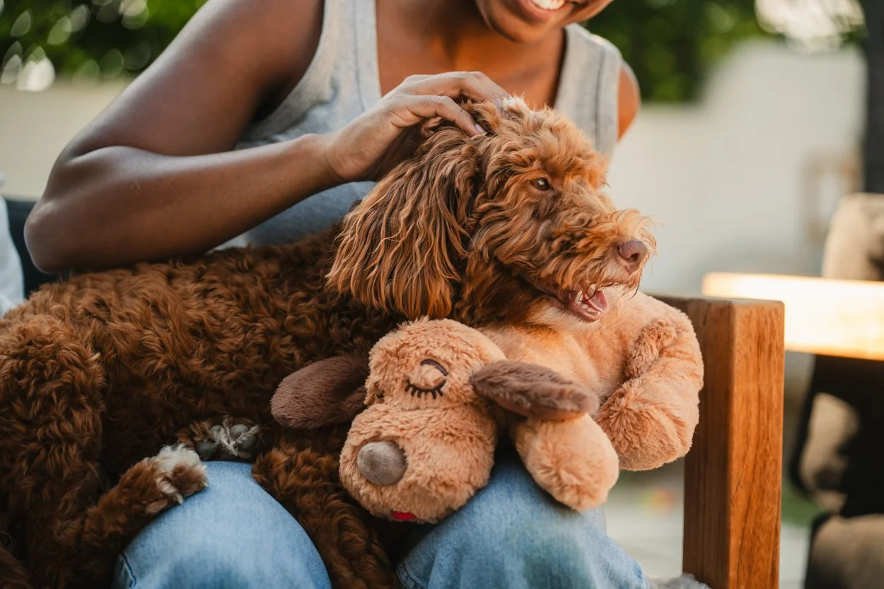 SnugglePuppy.Aug25.Samples.9.jpg