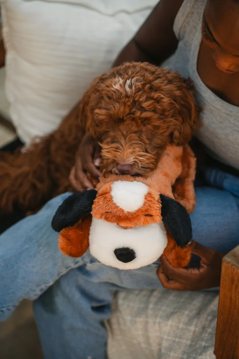 SnugglePuppy.Aug25.Samples.13.jpg