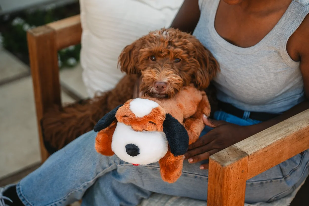 SnugglePuppy.Aug25.Samples.14.jpg