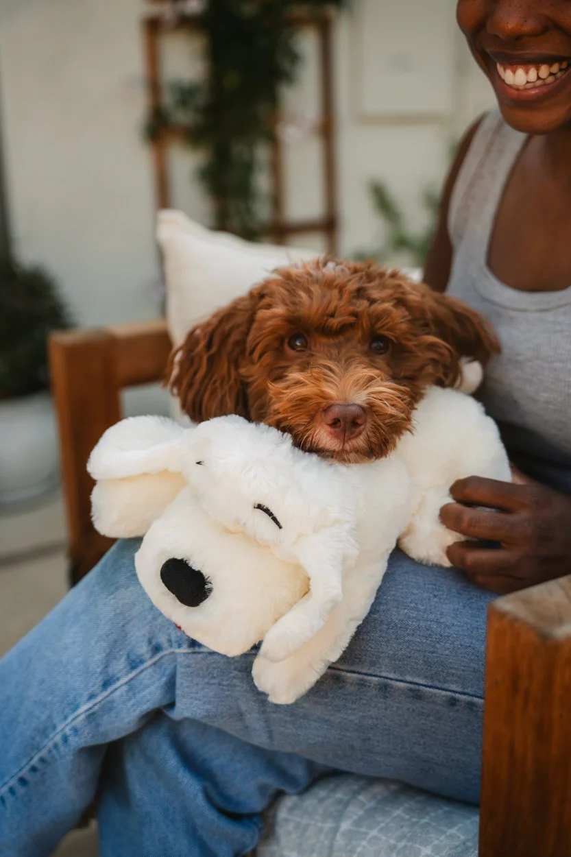 SnugglePuppy.Aug25.Samples.17.jpg