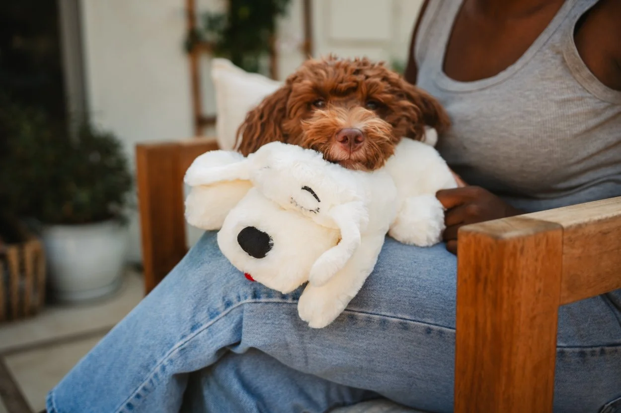 SnugglePuppy.Aug25.Samples.18.jpg