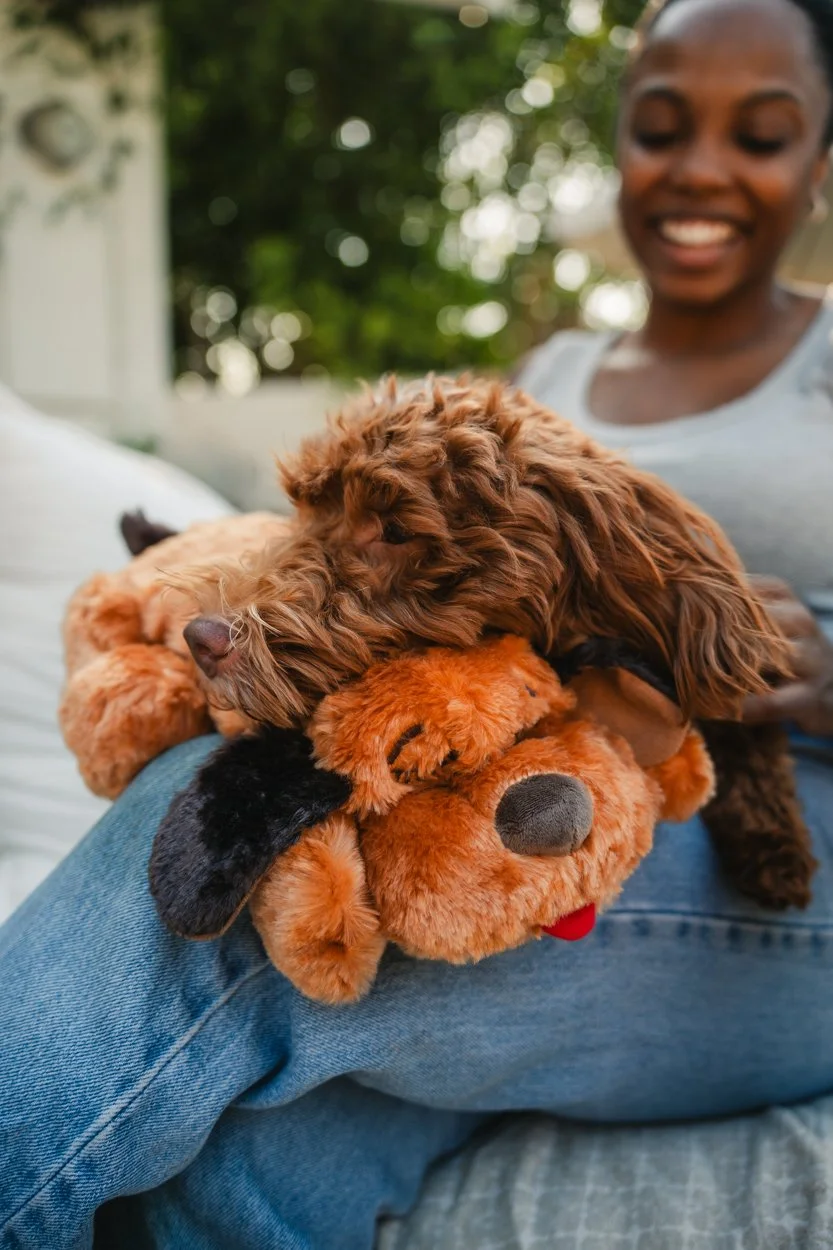SnugglePuppy.Aug25.Samples.19.jpg