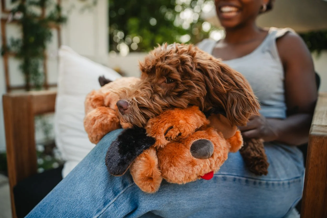 SnugglePuppy.Aug25.Samples.20.jpg