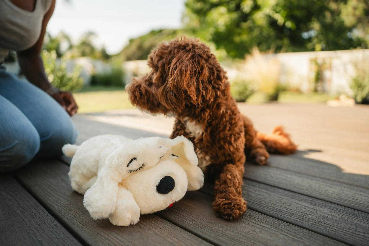 SnugglePuppy.Aug25.Samples.22.jpg