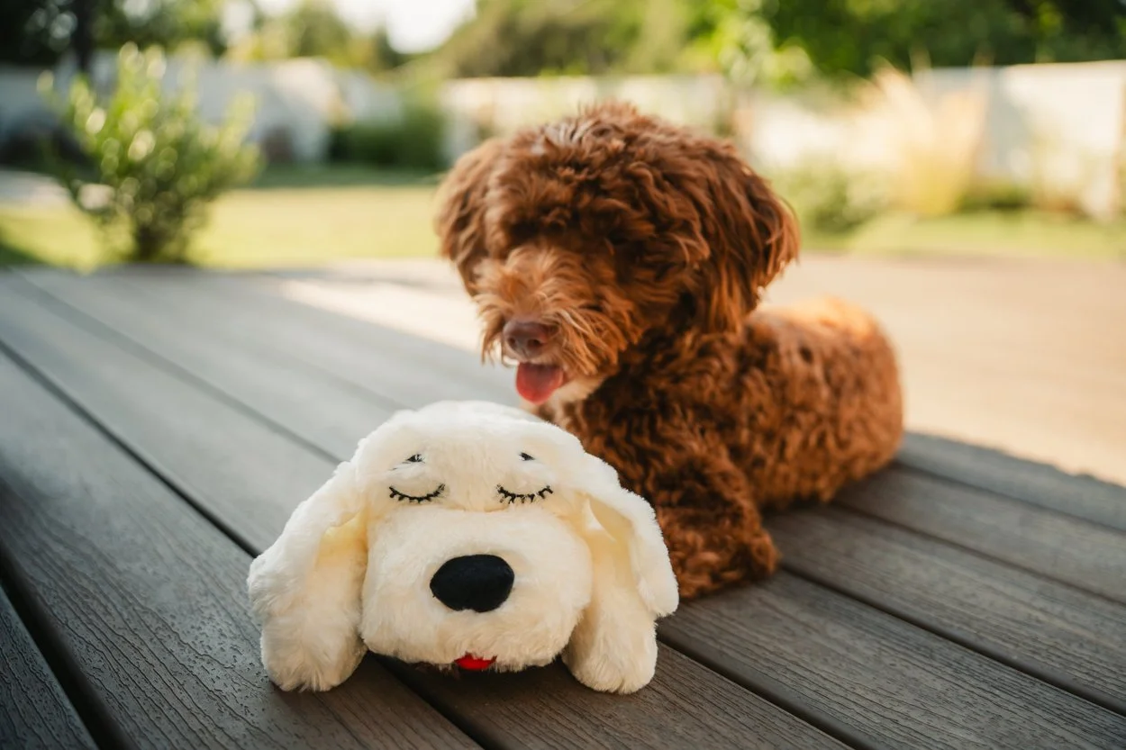 SnugglePuppy.Aug25.Samples.25.jpg