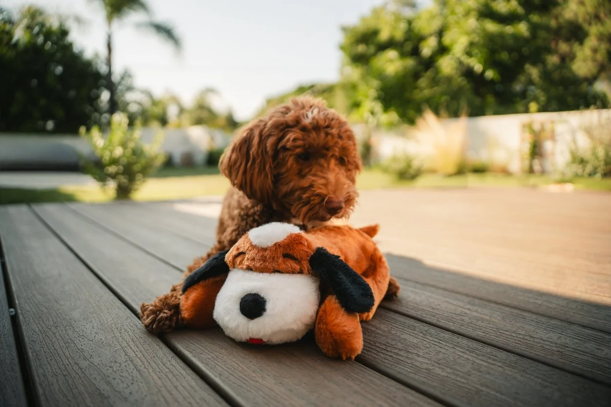 SnugglePuppy.Aug25.Samples.26.jpg
