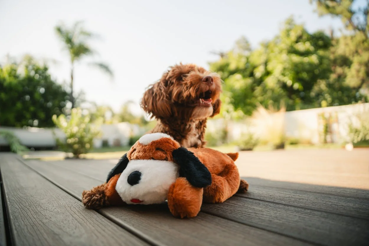 SnugglePuppy.Aug25.Samples.29.jpg