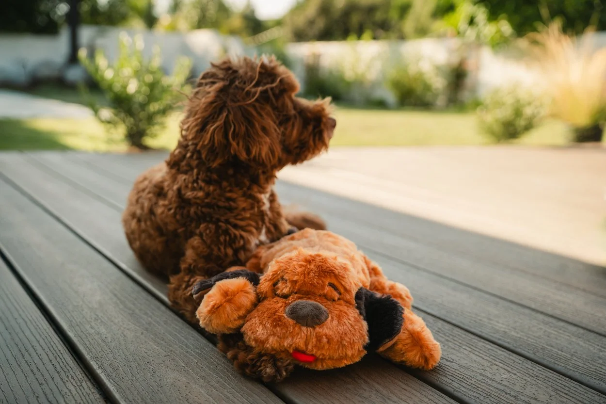 SnugglePuppy.Aug25.Samples.47.jpg