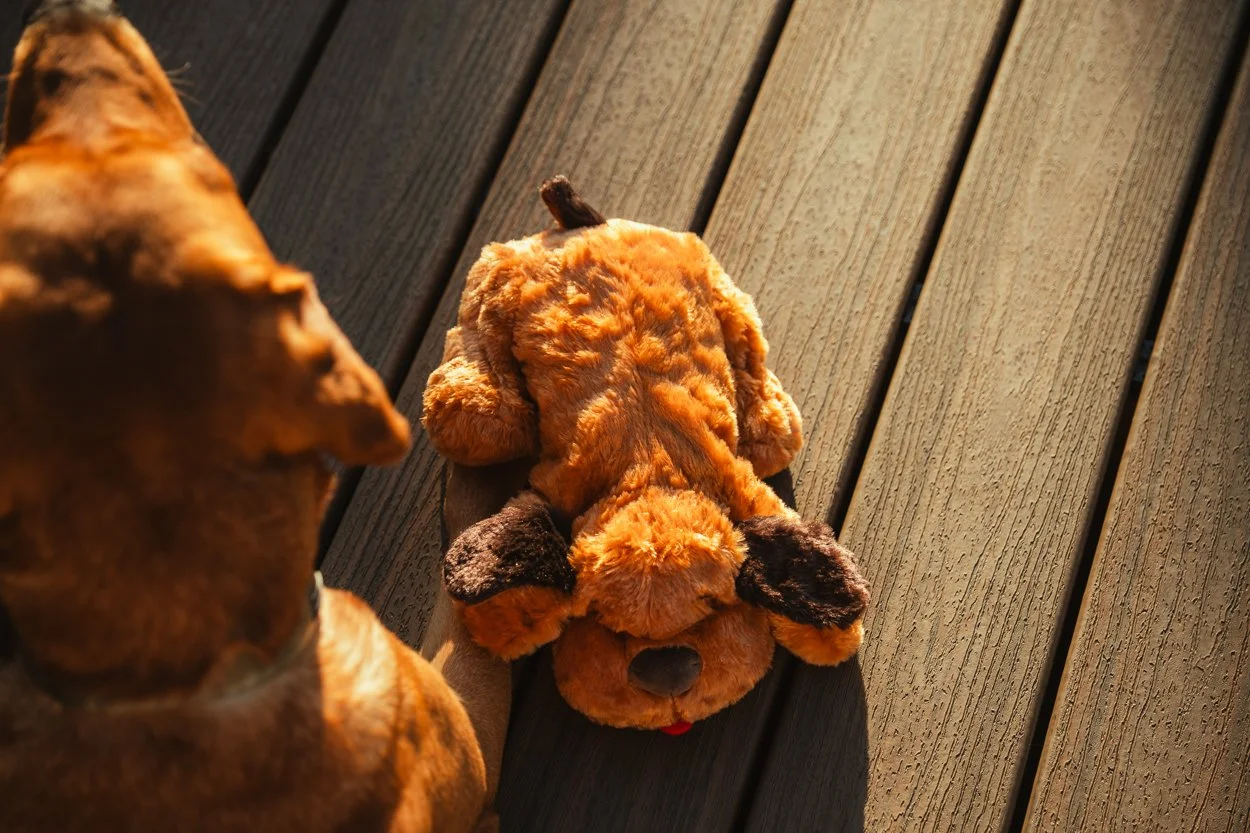 SnugglePuppy.Aug25.Samples.72.jpg
