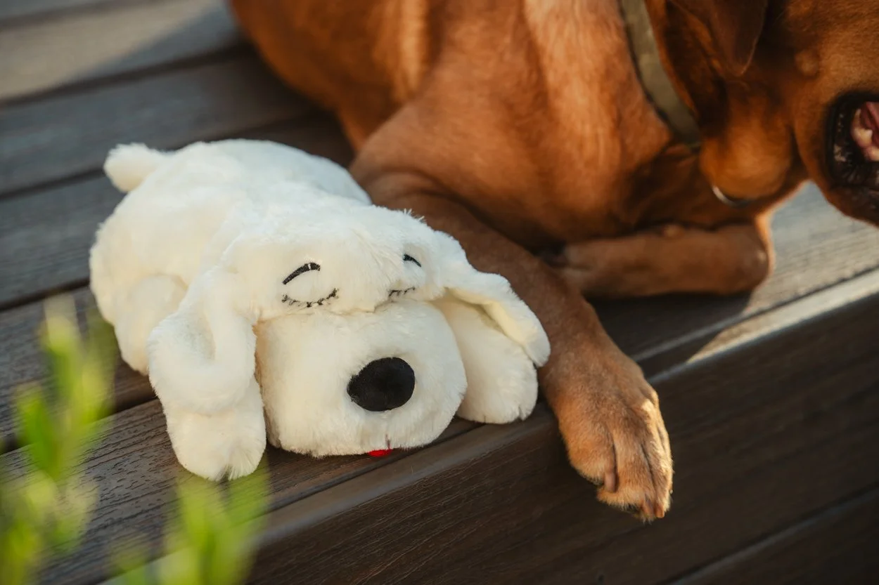 SnugglePuppy.Aug25.Samples.75.jpg
