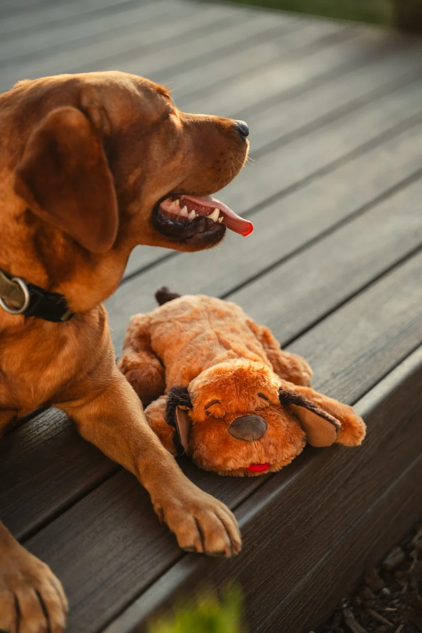 SnugglePuppy.Aug25.Samples.77.jpg
