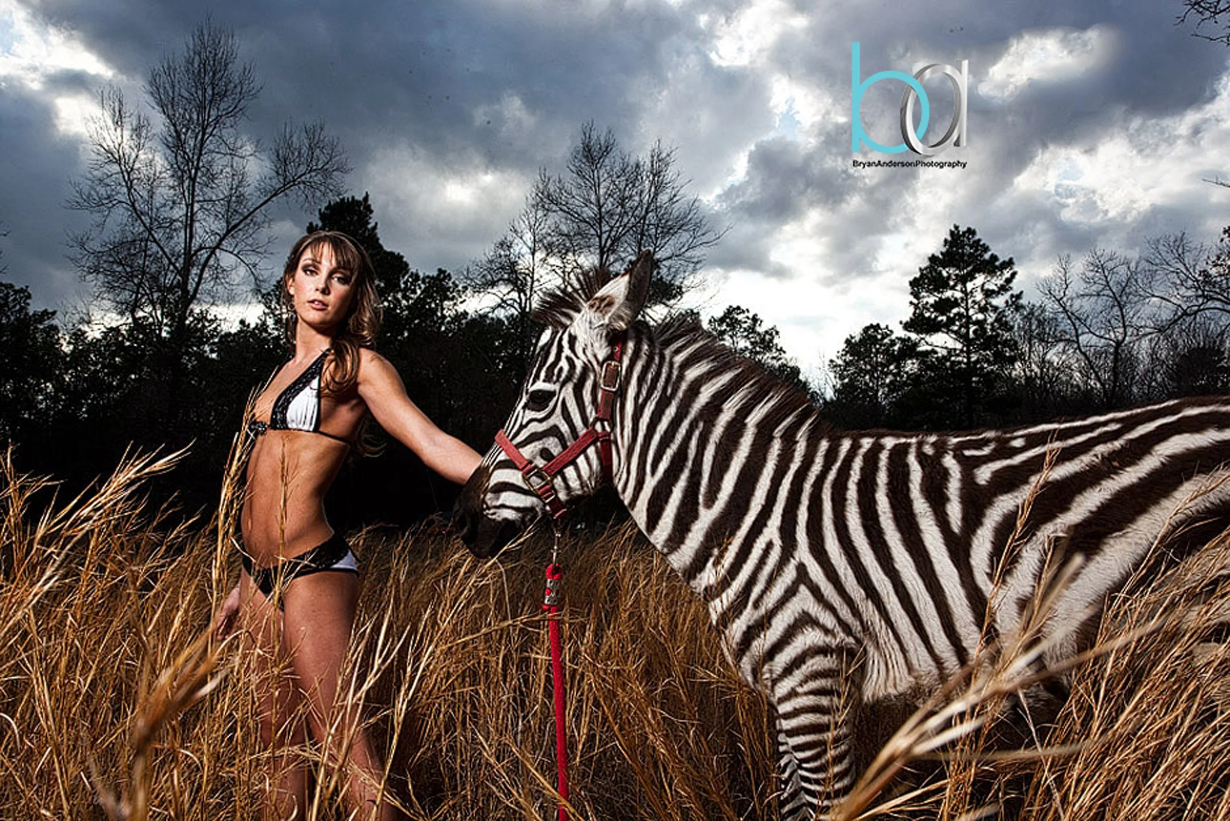 zookeeper005.jpg