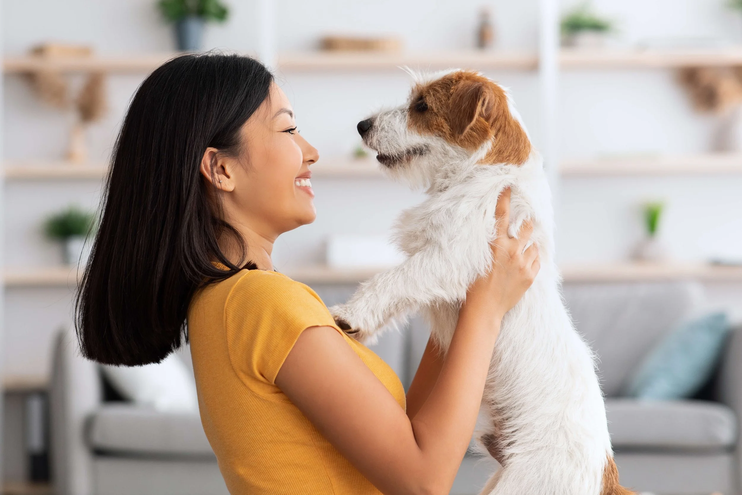 Emotional Support Dogs High Level Wellness Daily