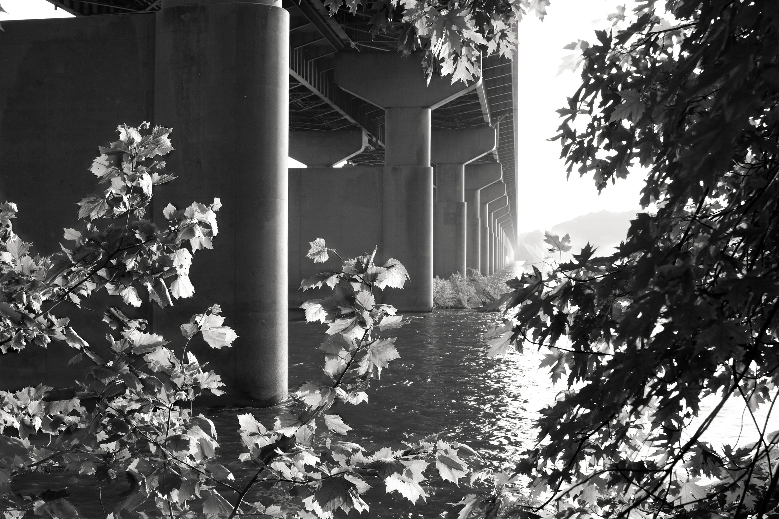 33-BridgeB&W.jpg
