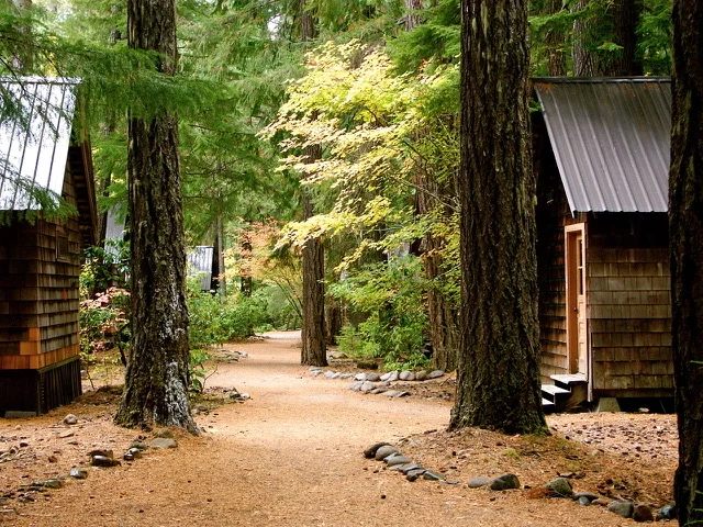 Cabin Trail.jpeg
