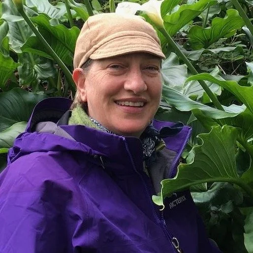 CE: Specific Structural Work for the Low Back, Hips and Psoas (Sunday morning)