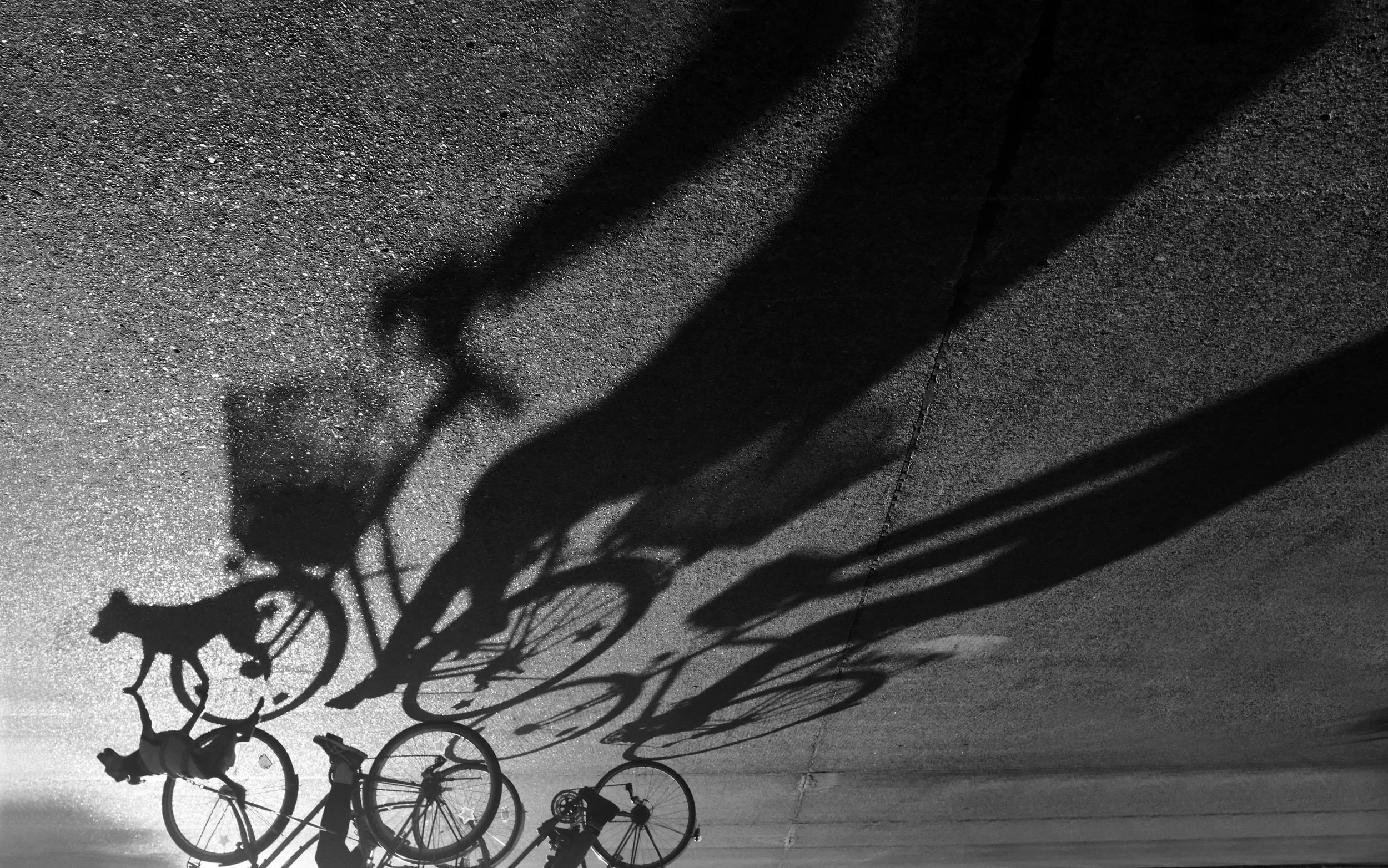 shadow crop.jpg