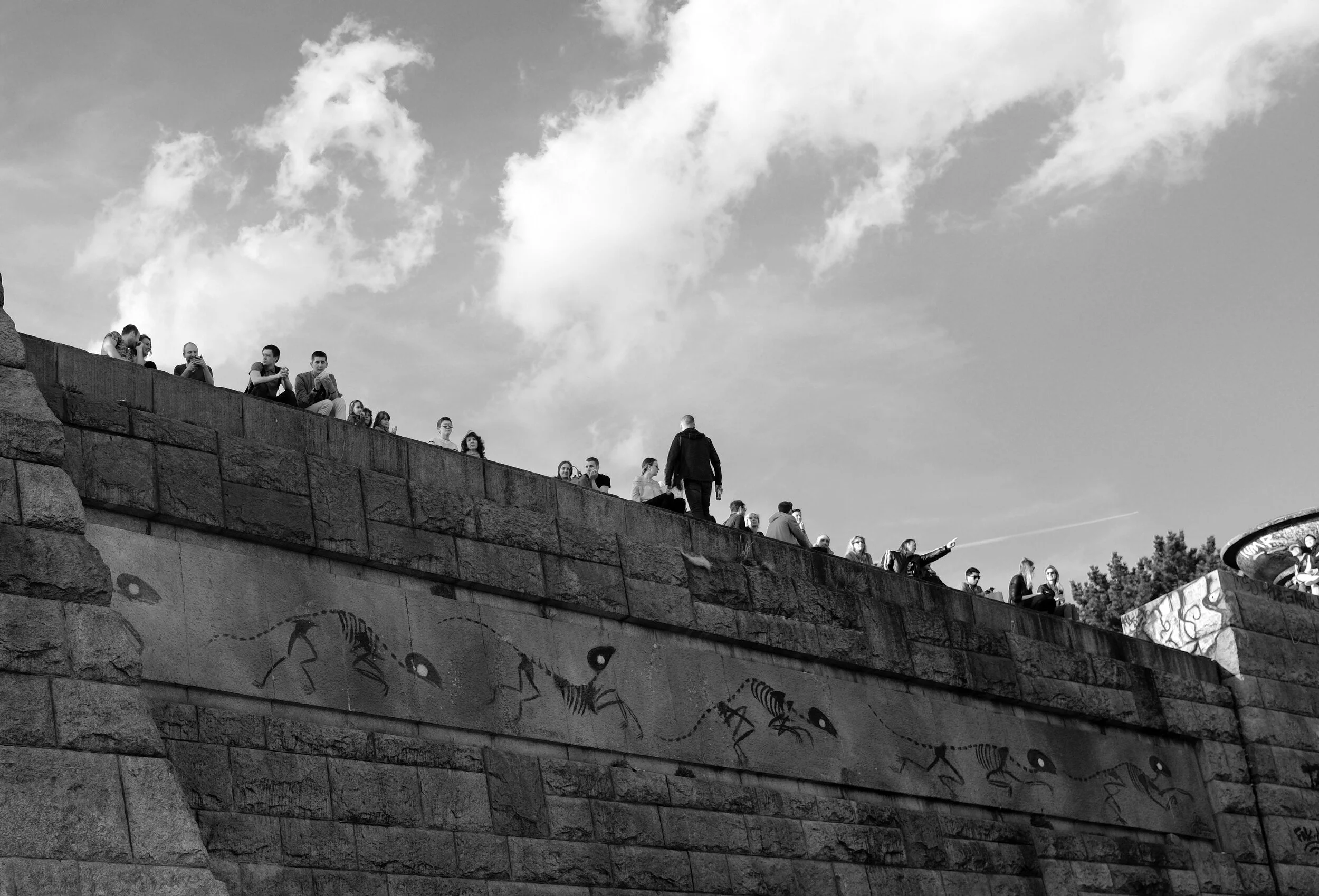 wall crop.jpg