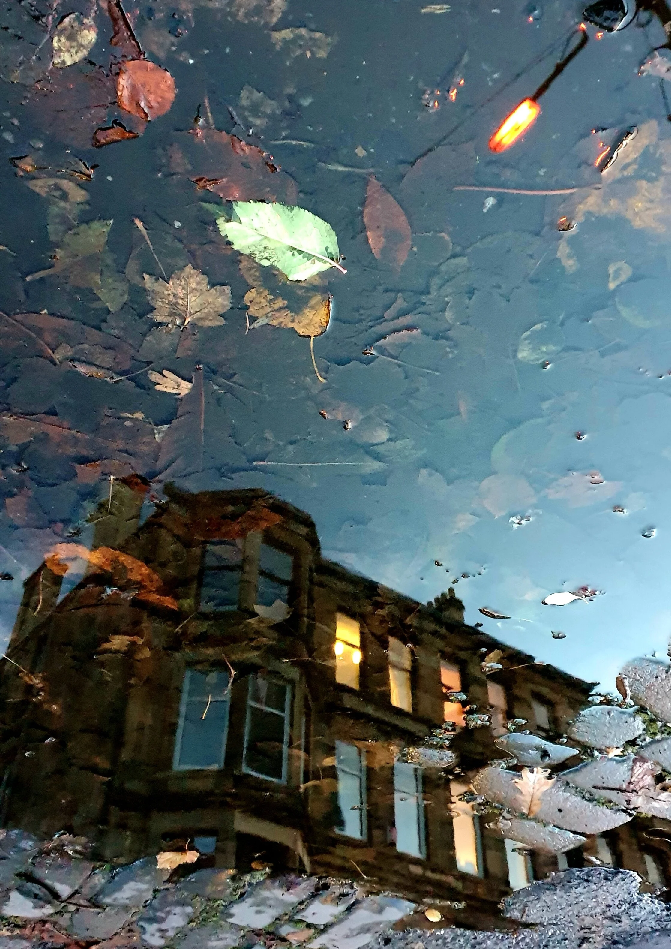 20201113_220945.jpg