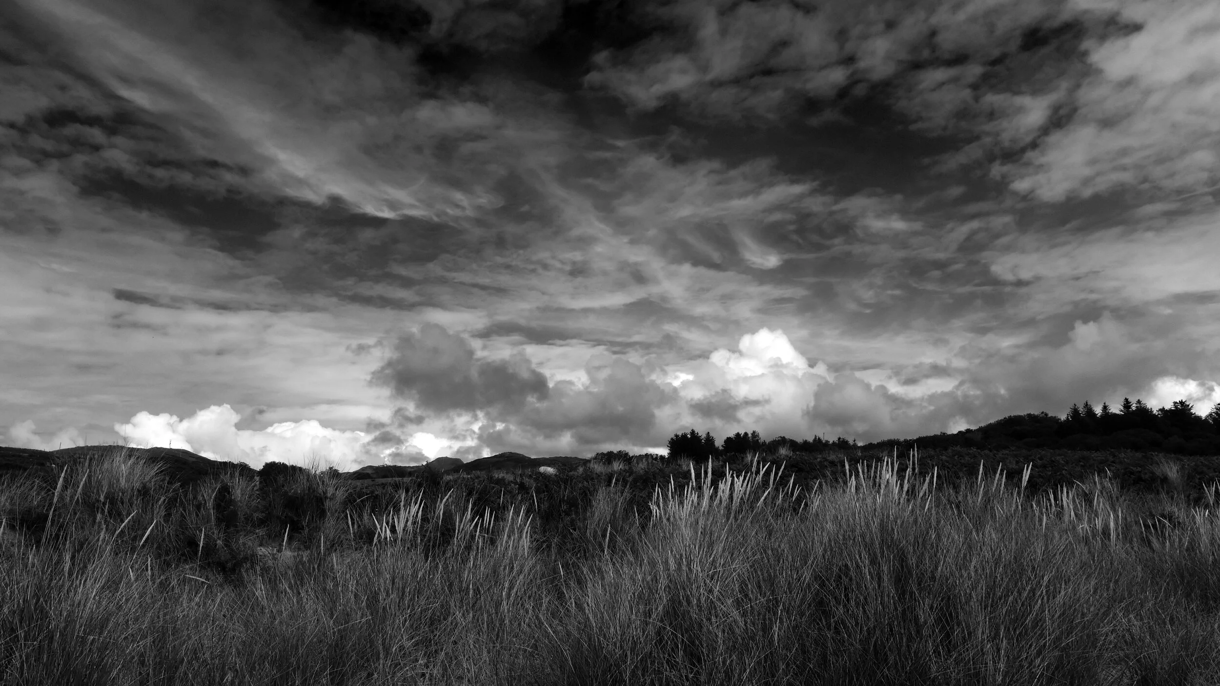 bw kilmory.jpg
