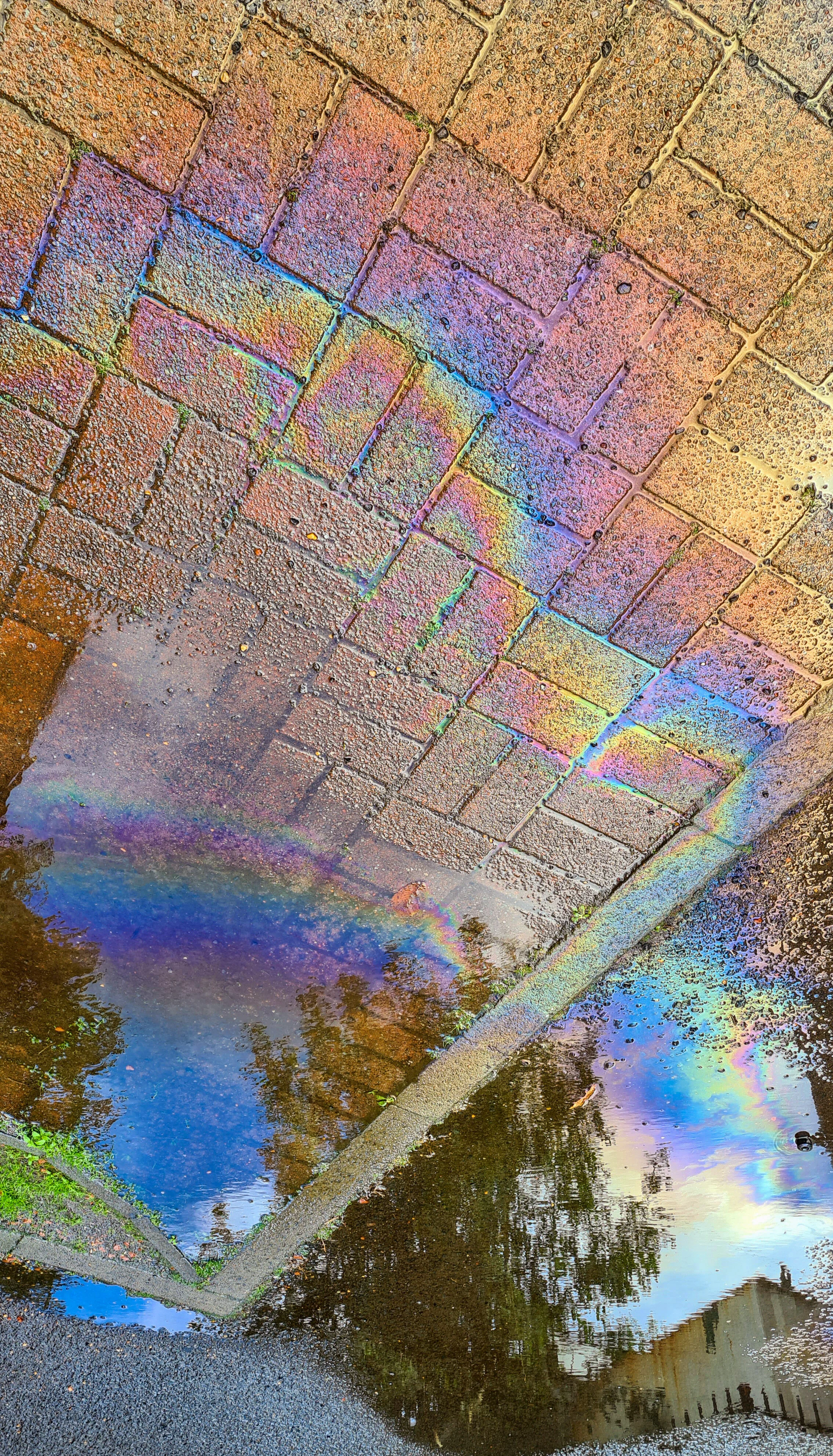 petro puddle (4).jpg