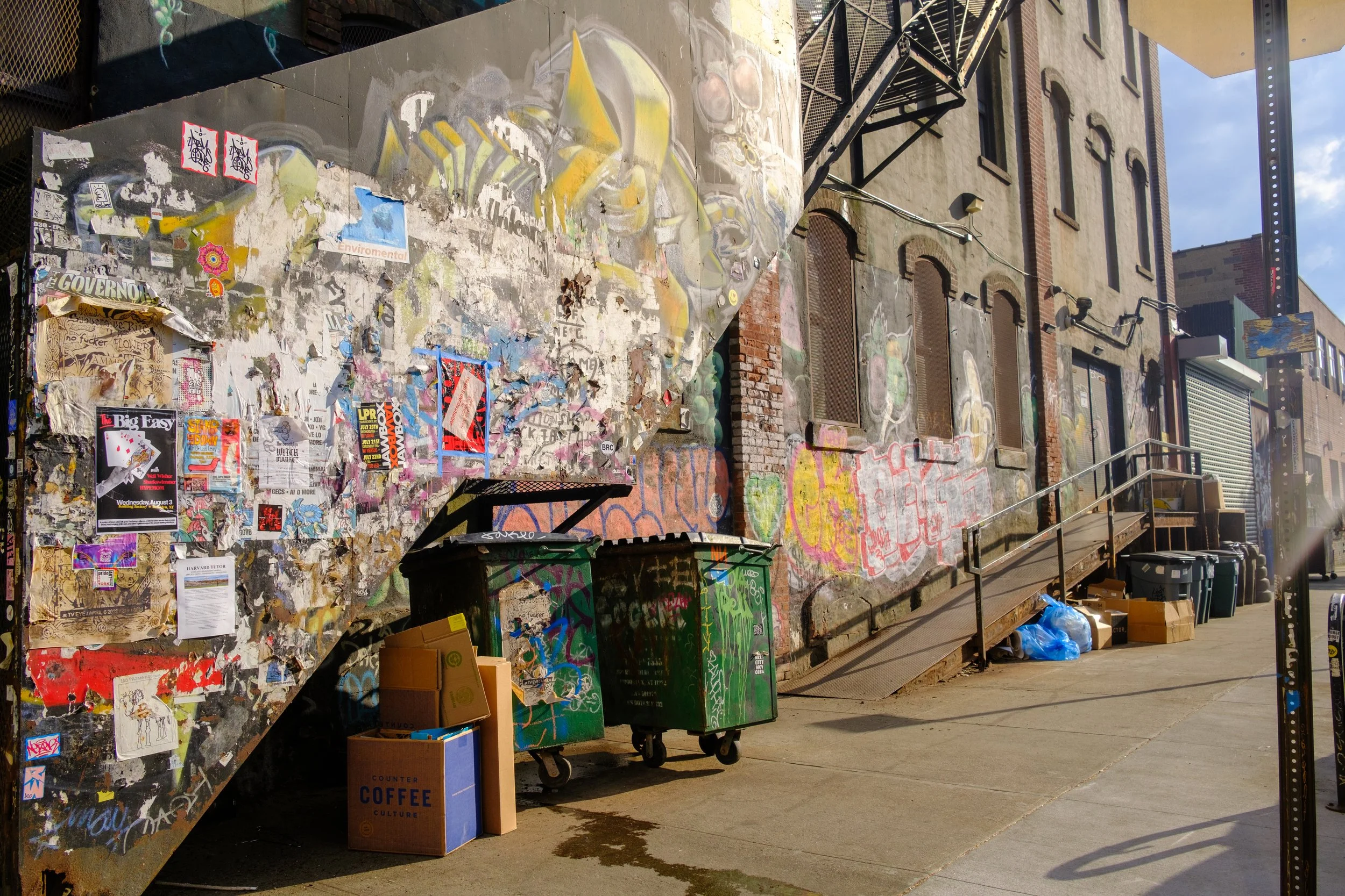 DSCF1551.jpg