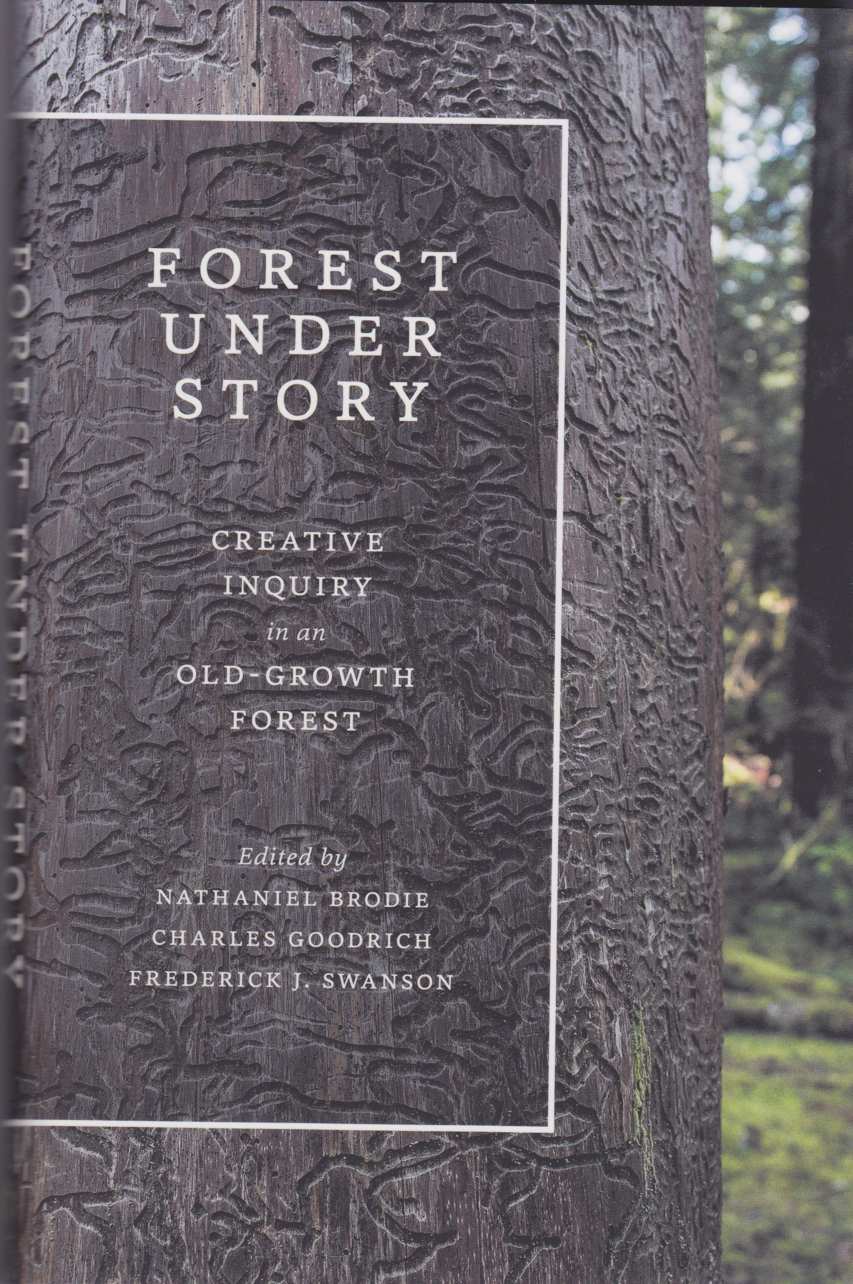 “… perhaps they had wanted fire to kill fewer trees. I am happy / below the charred towers. Landform on this ridge asks for risks. / Snags and seed trees—exposed spires— say design. Dare. / Darkness is the awareness: it may not have been necessary— / their acting here. In this way. … /// Further up the road within what we could have been. / Humbling. The experimental treatments not exactly / an entropy like this…. nearly all she had hoped for / here / then gone.” Anderson Moseman, pages 154-55