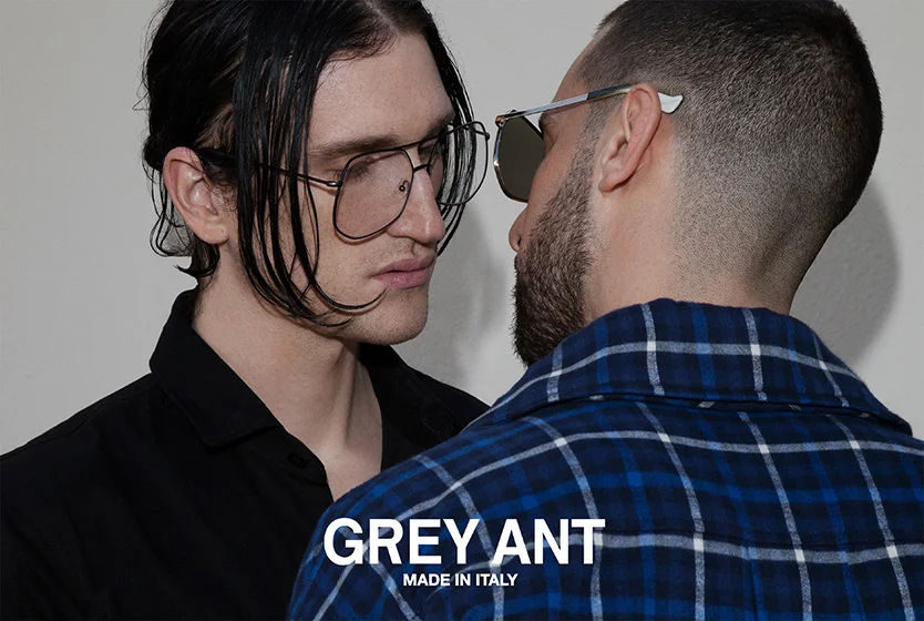 GREY ANT