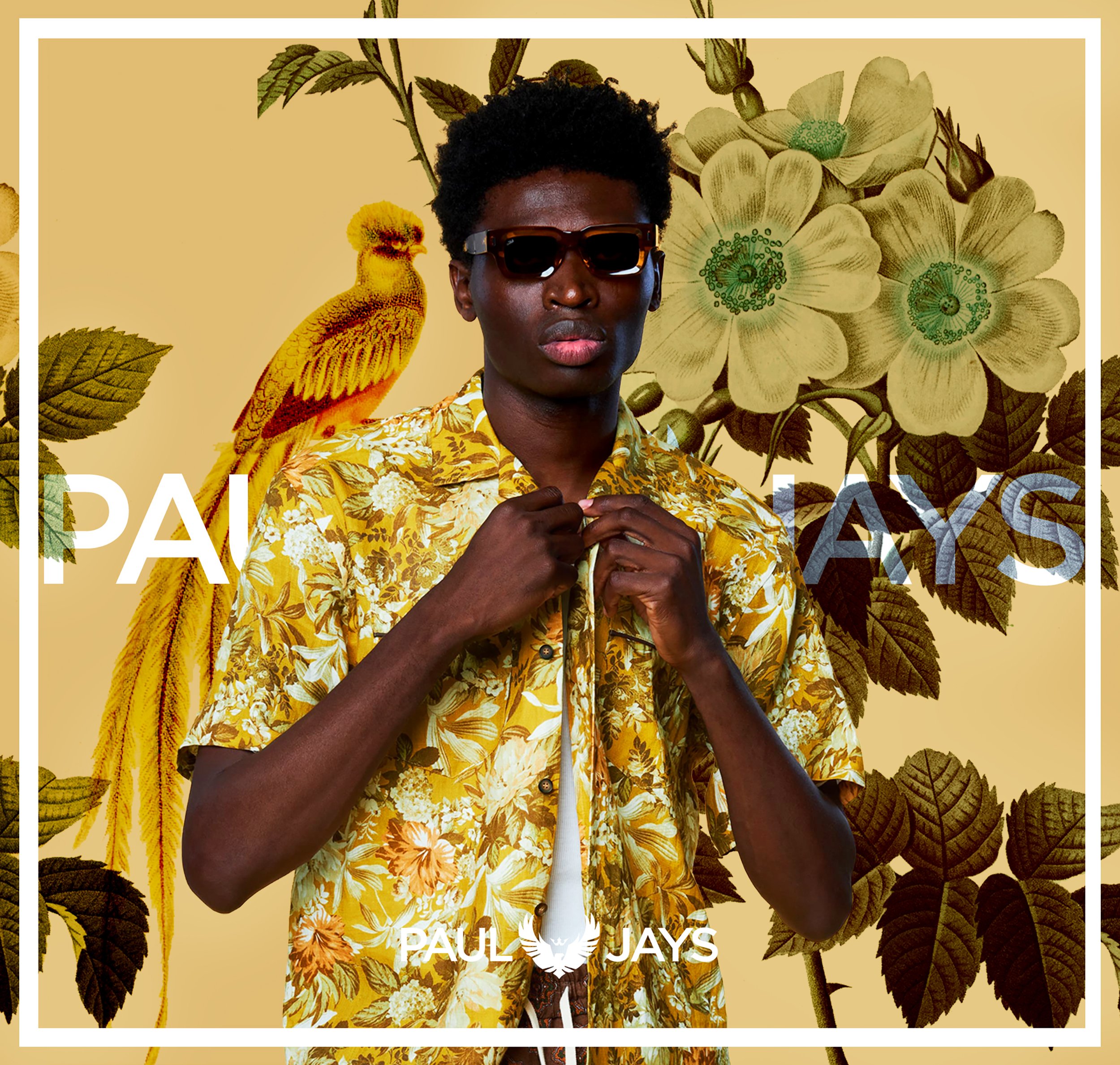 PAUL JAYS
