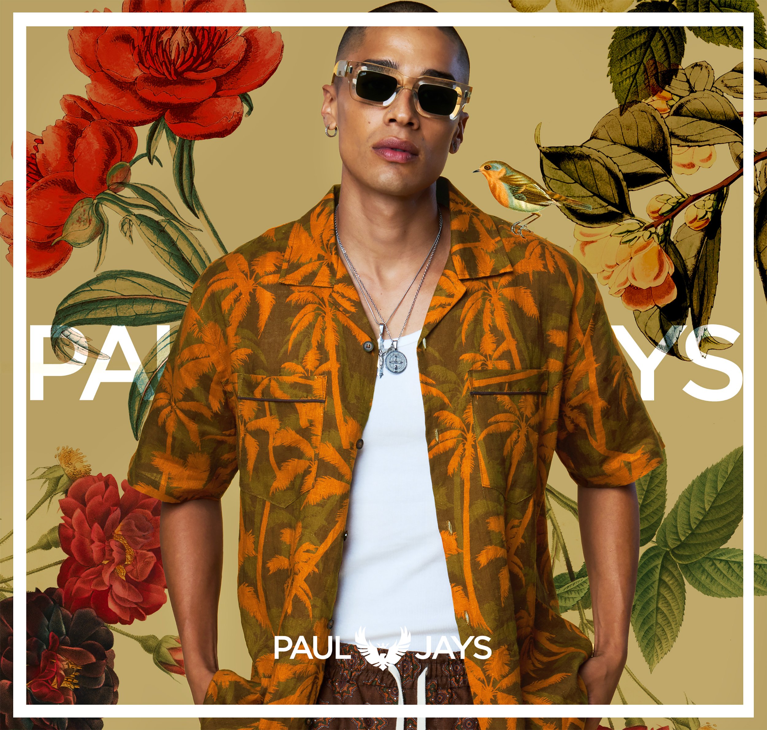 PAUL JAYS