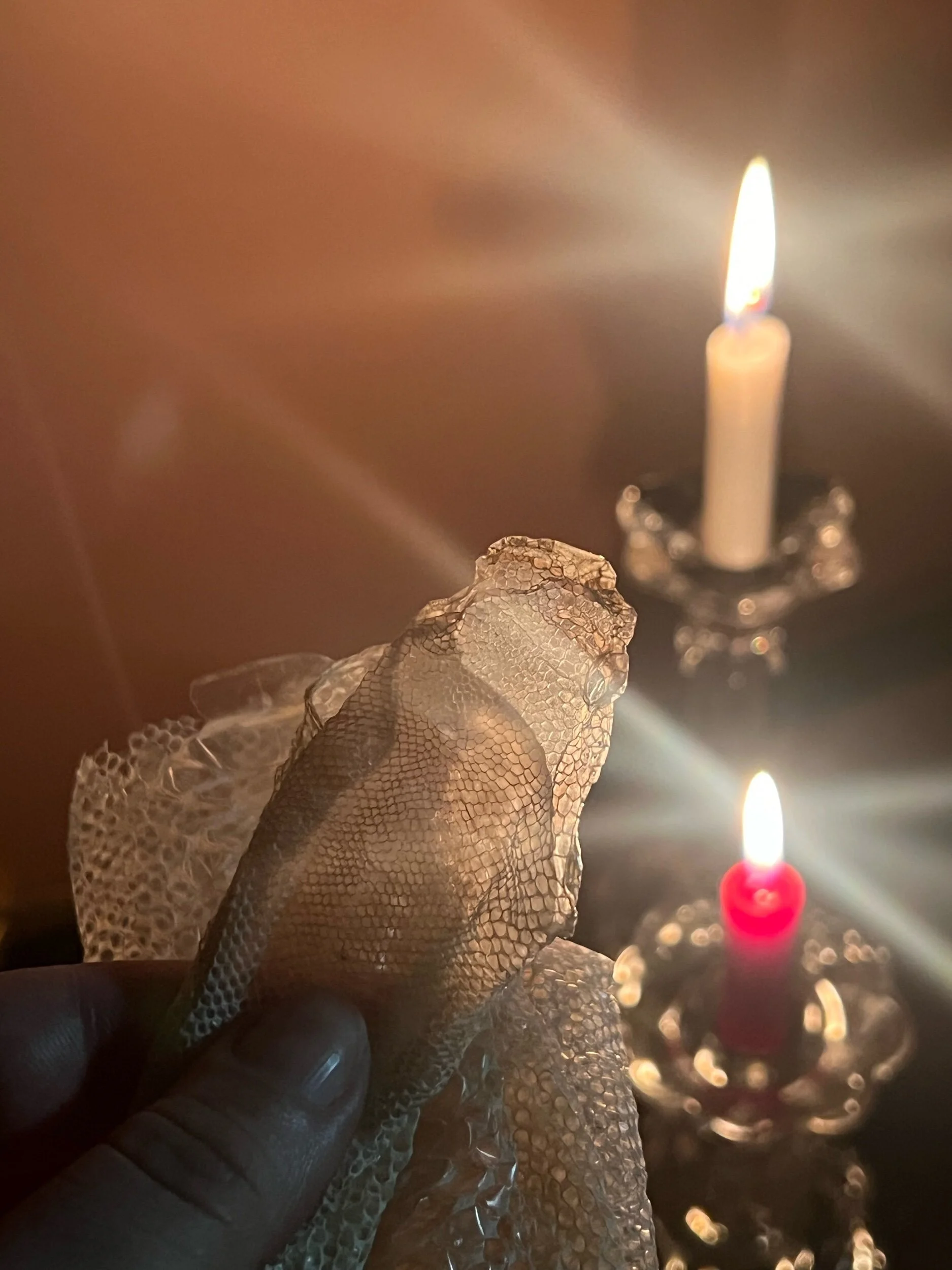 231511ED-7186-459B-98B5-3D422136E5DC