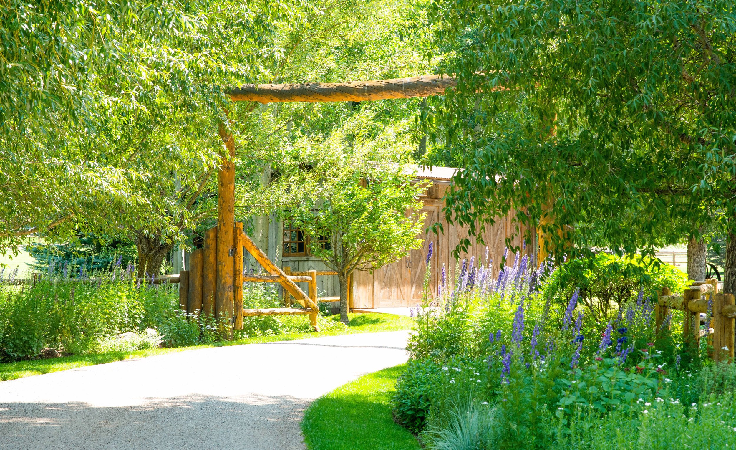 Aspen Landscape Architecture