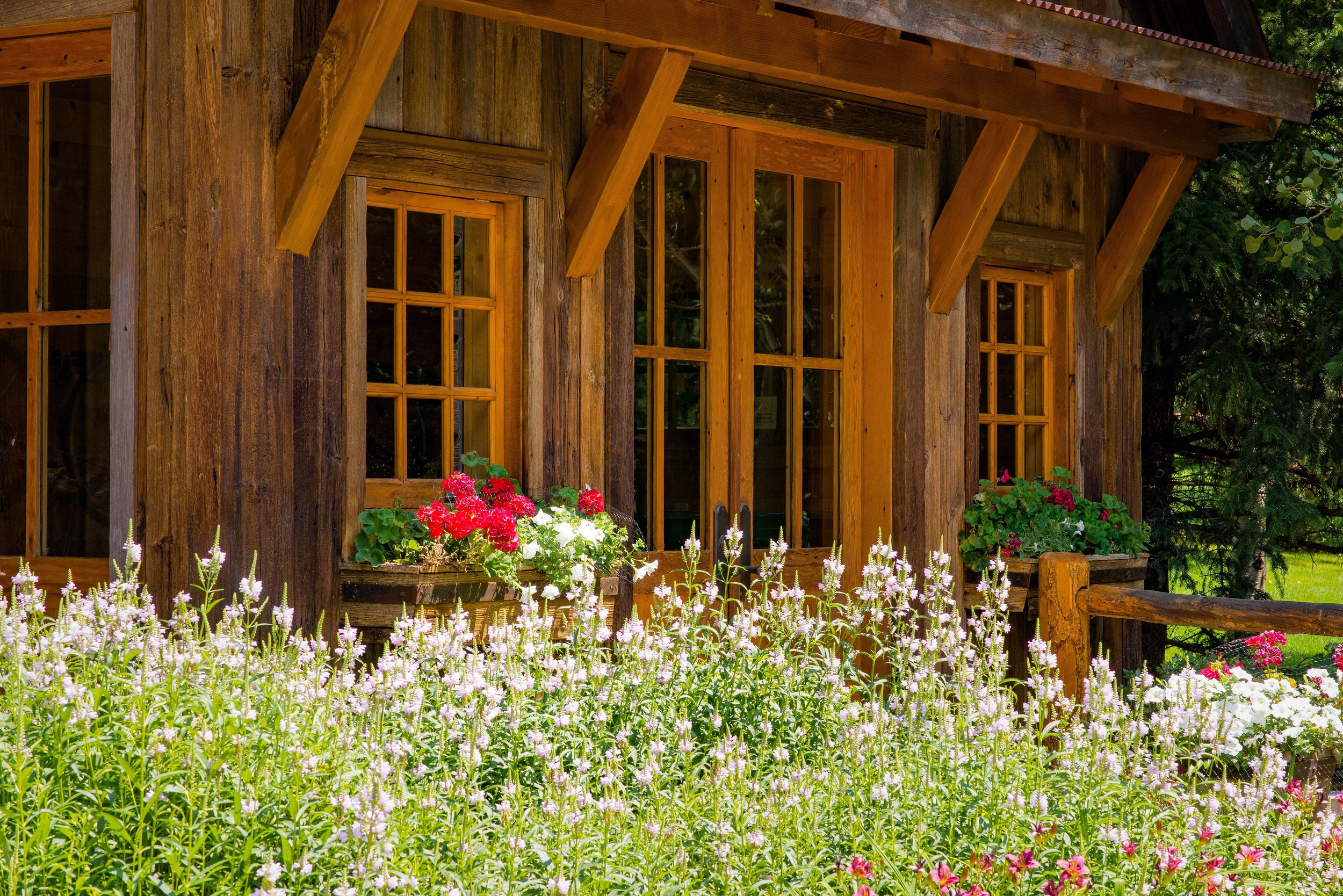 Snowmass Landscape Design