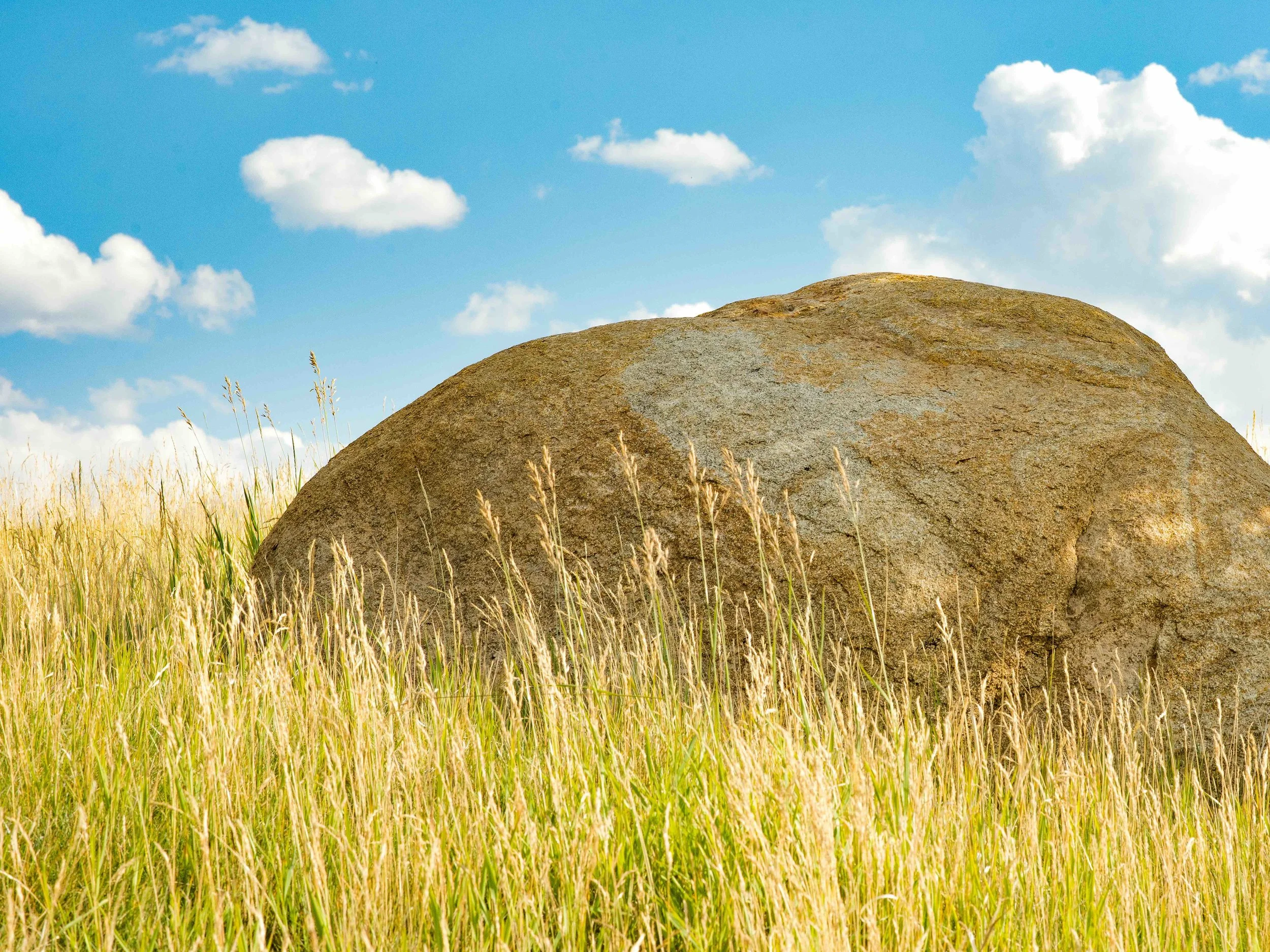 Snowmass Landscape Design