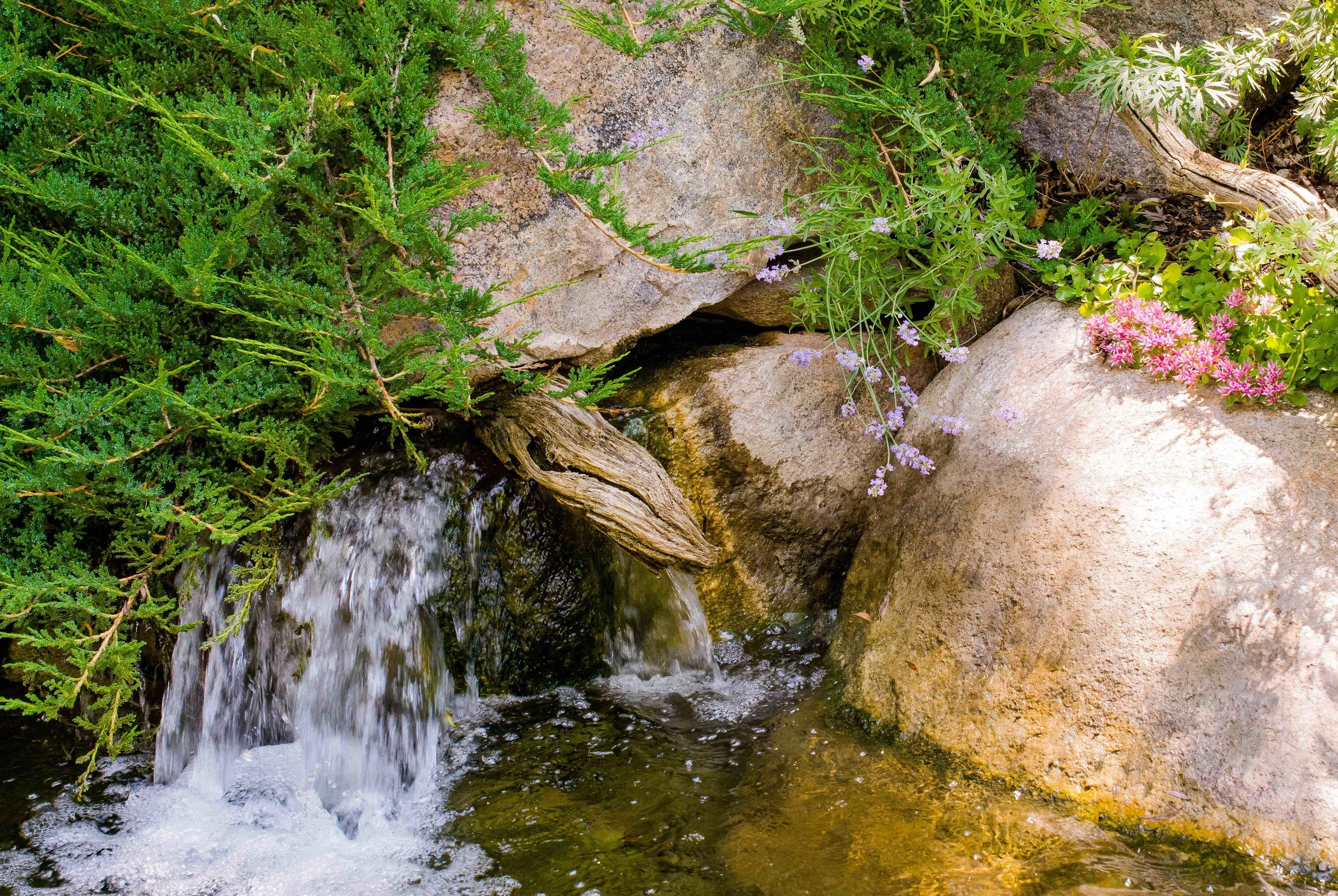 Aspen Waterscape Design