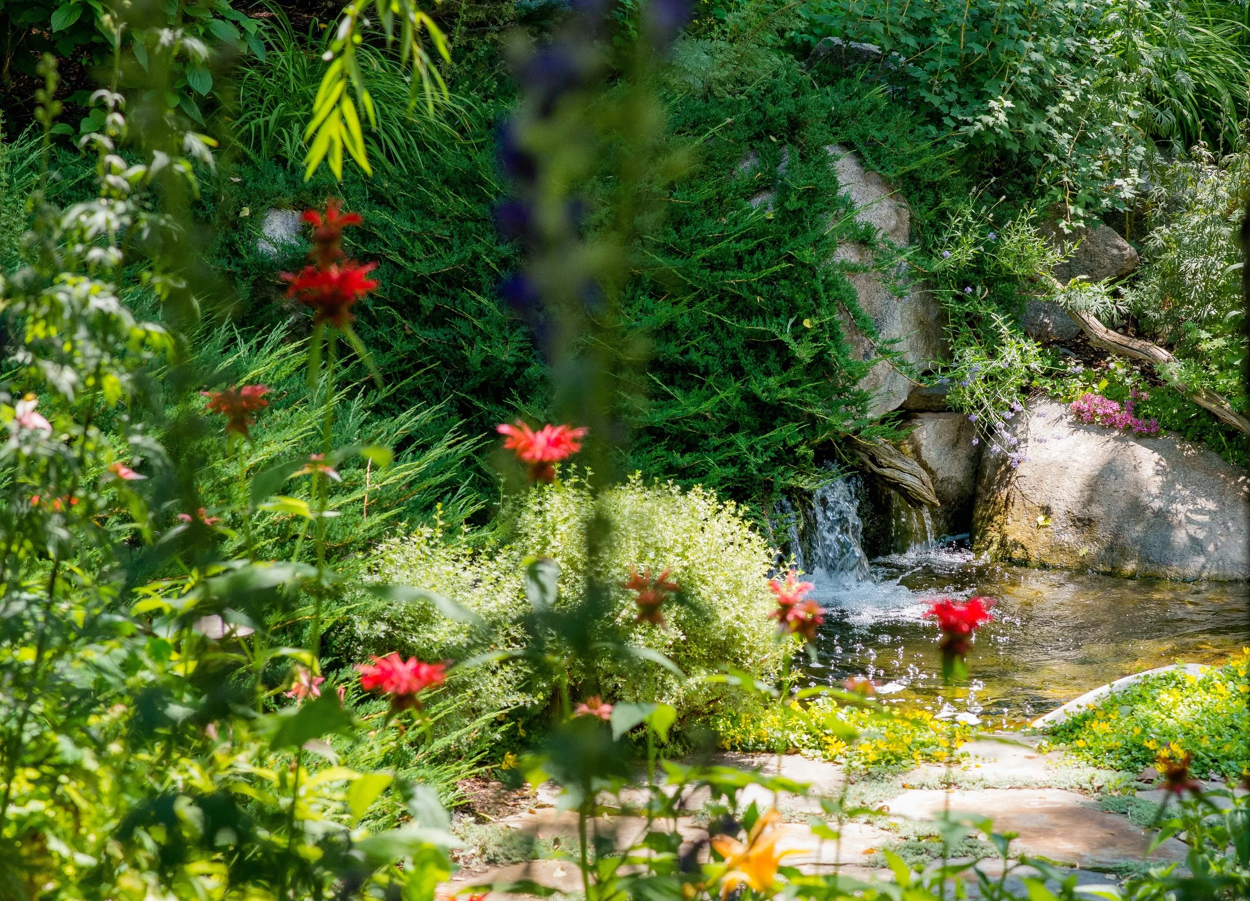 Aspen Garden Design
