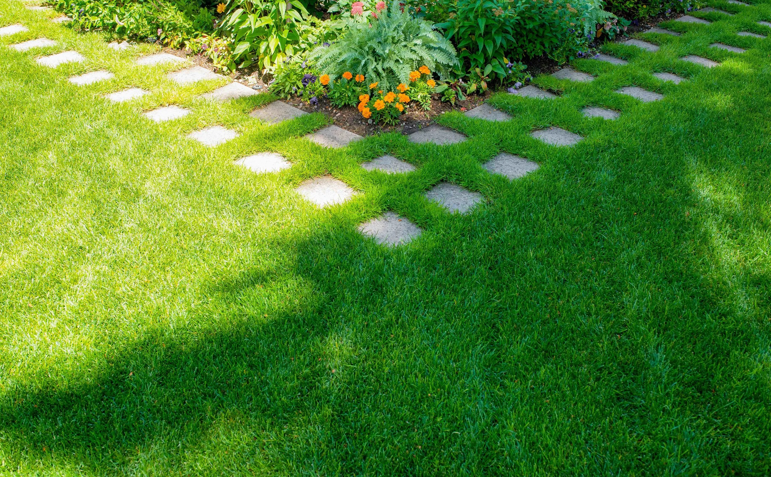 Aspen Landscape Design