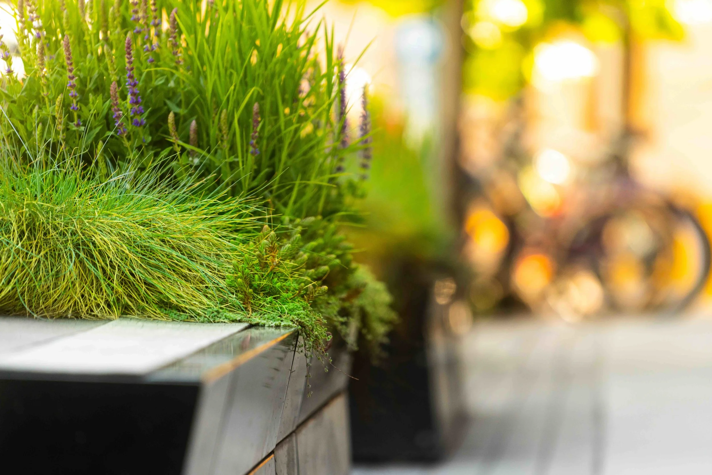 Stan Clauson 2019_4.jpeg