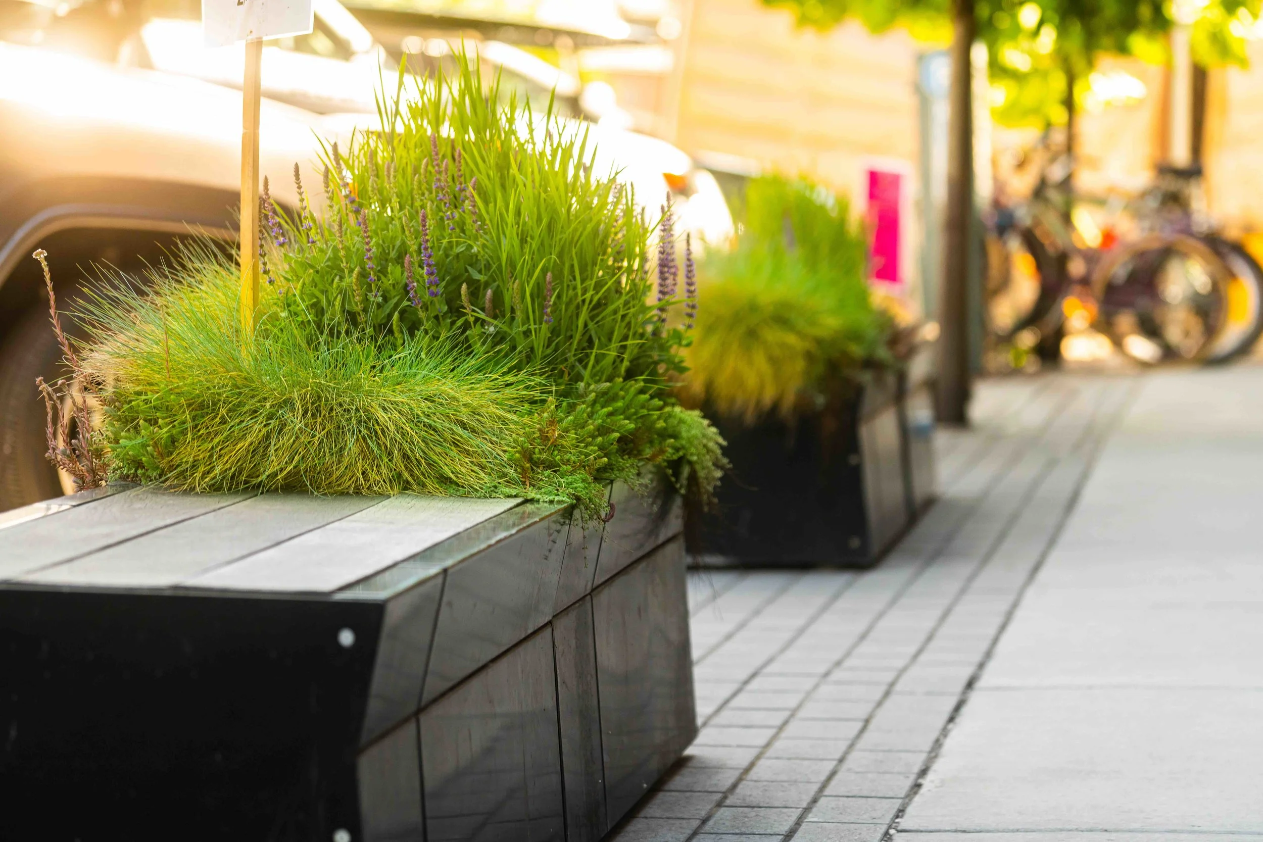 Stan Clauson 2019_5.jpeg