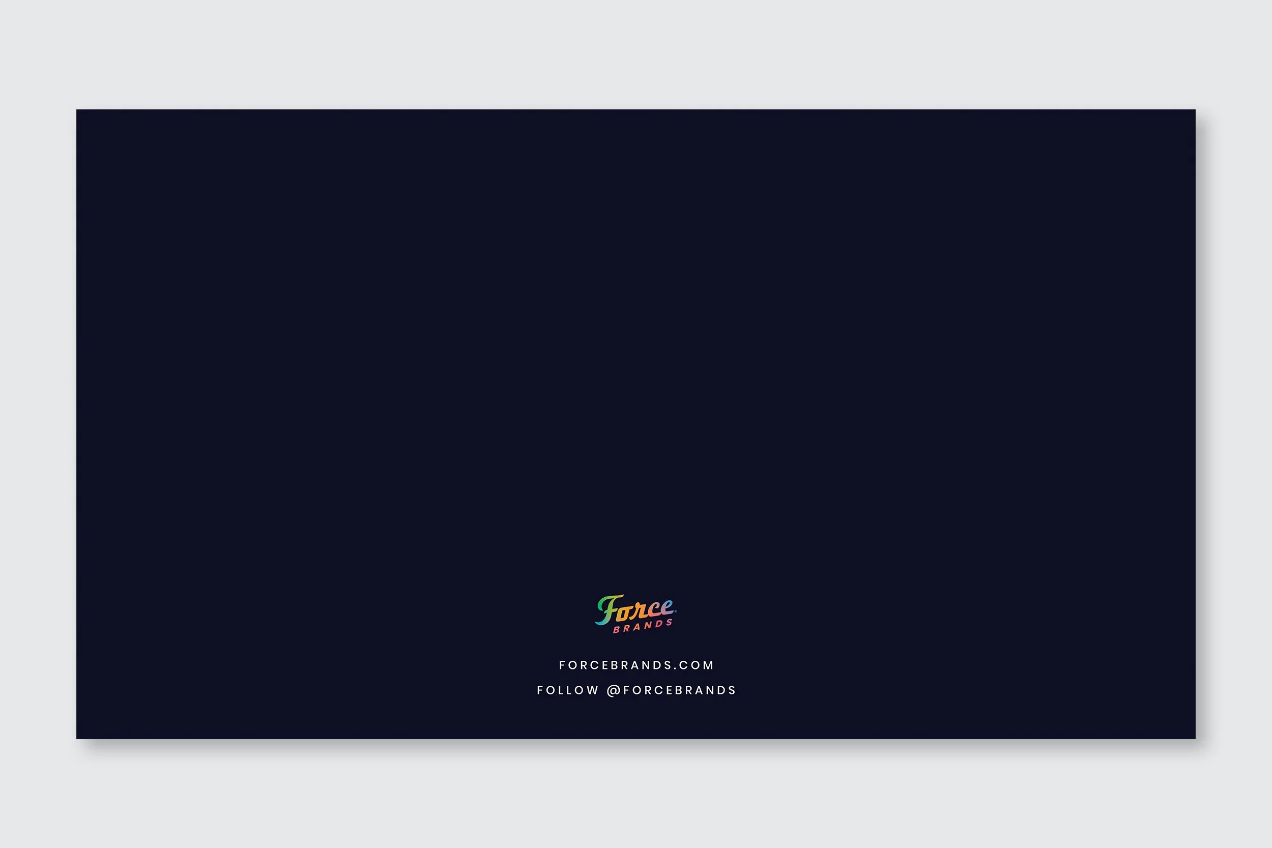 ForceBrands_BrandPlaybook53.jpg