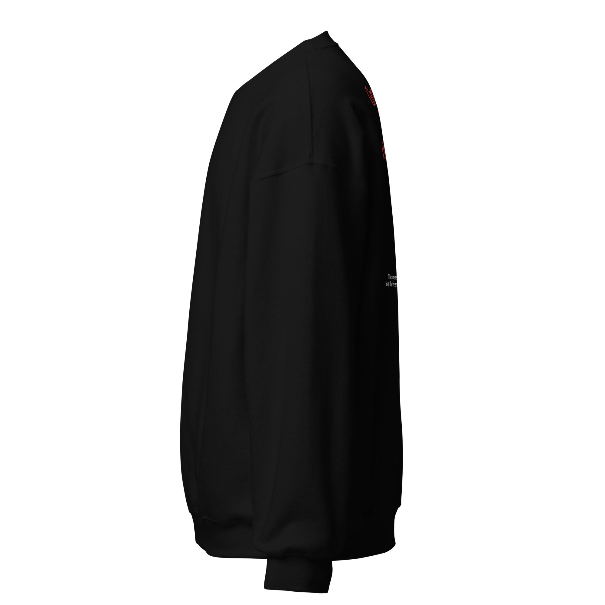 unisex-crew-neck-sweatshirt-black-left-69282b3f6c5d2.jpg