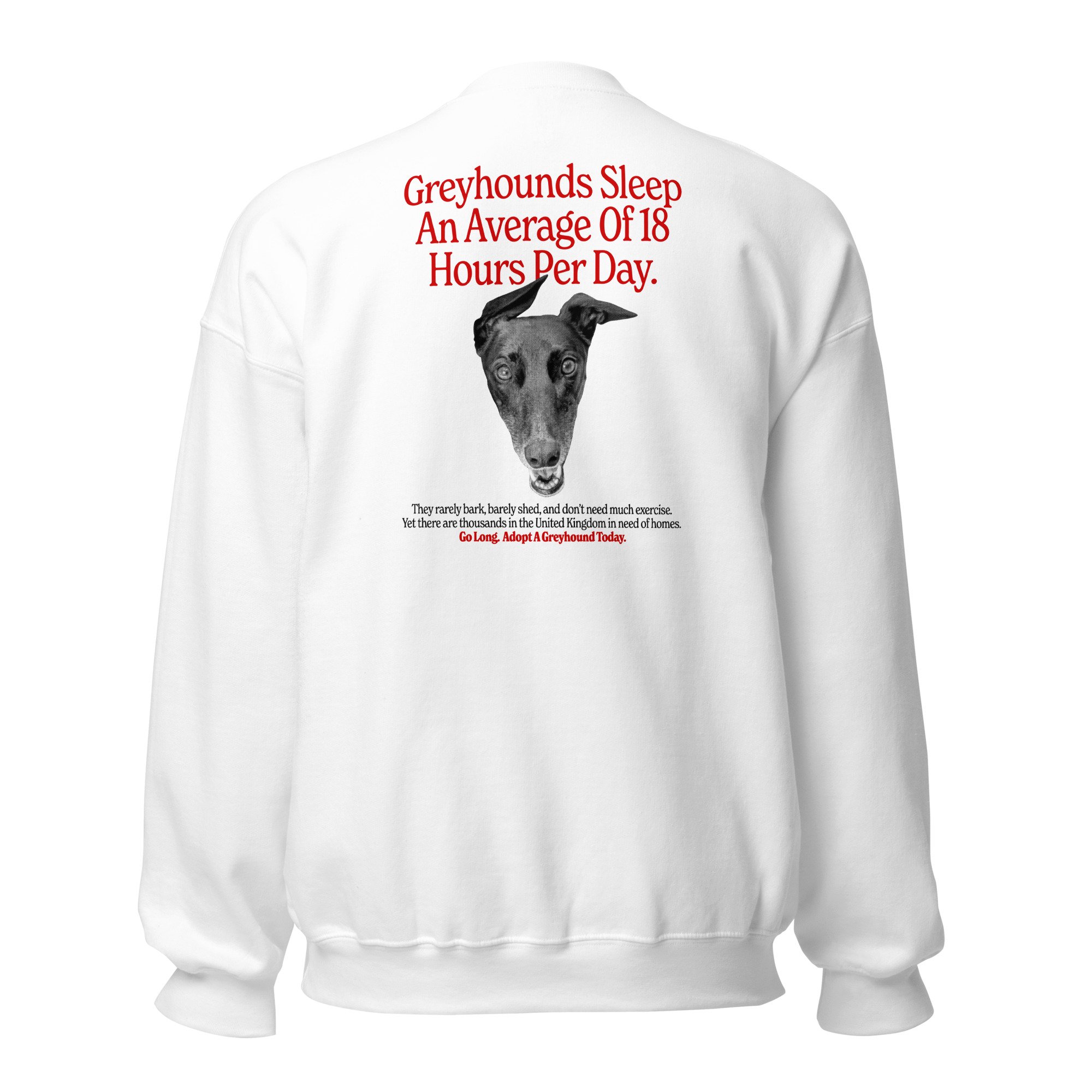 unisex-crew-neck-sweatshirt-white-back-692d719f7e7c0.jpg