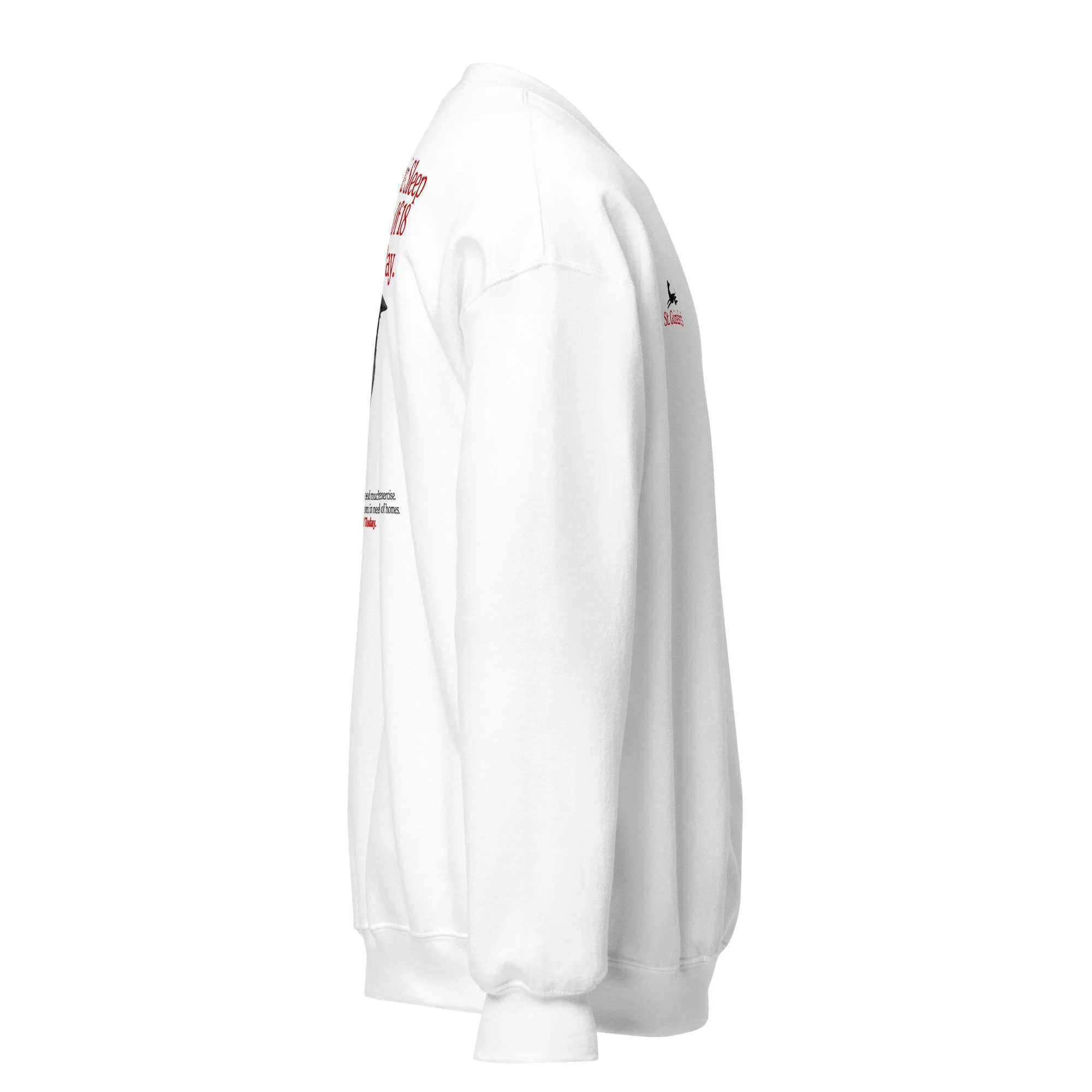 unisex-crew-neck-sweatshirt-white-right-692d719f80baf.jpg