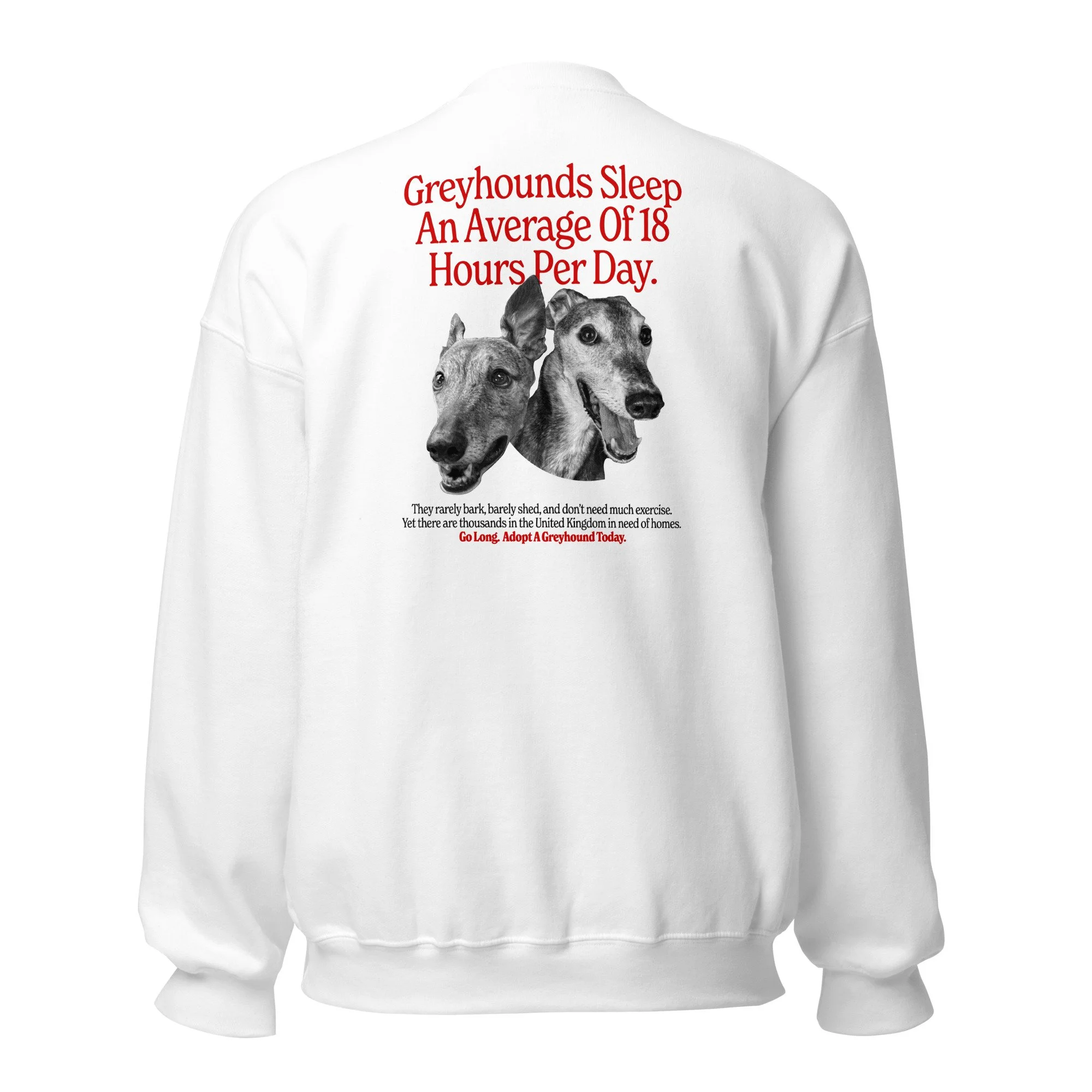 unisex-crew-neck-sweatshirt-white-back-692daebec0530.jpg