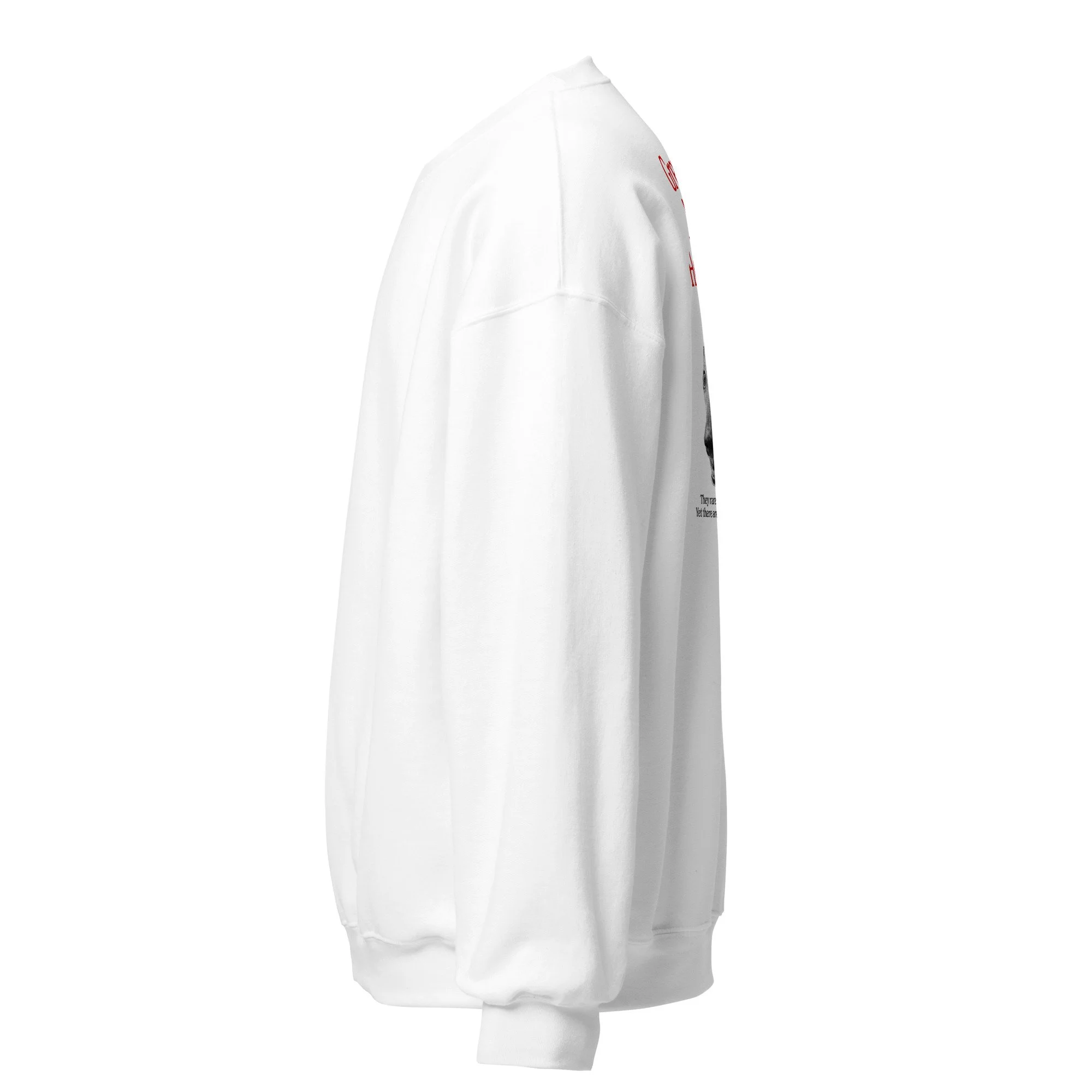 unisex-crew-neck-sweatshirt-white-left-692daebec16a6.jpg