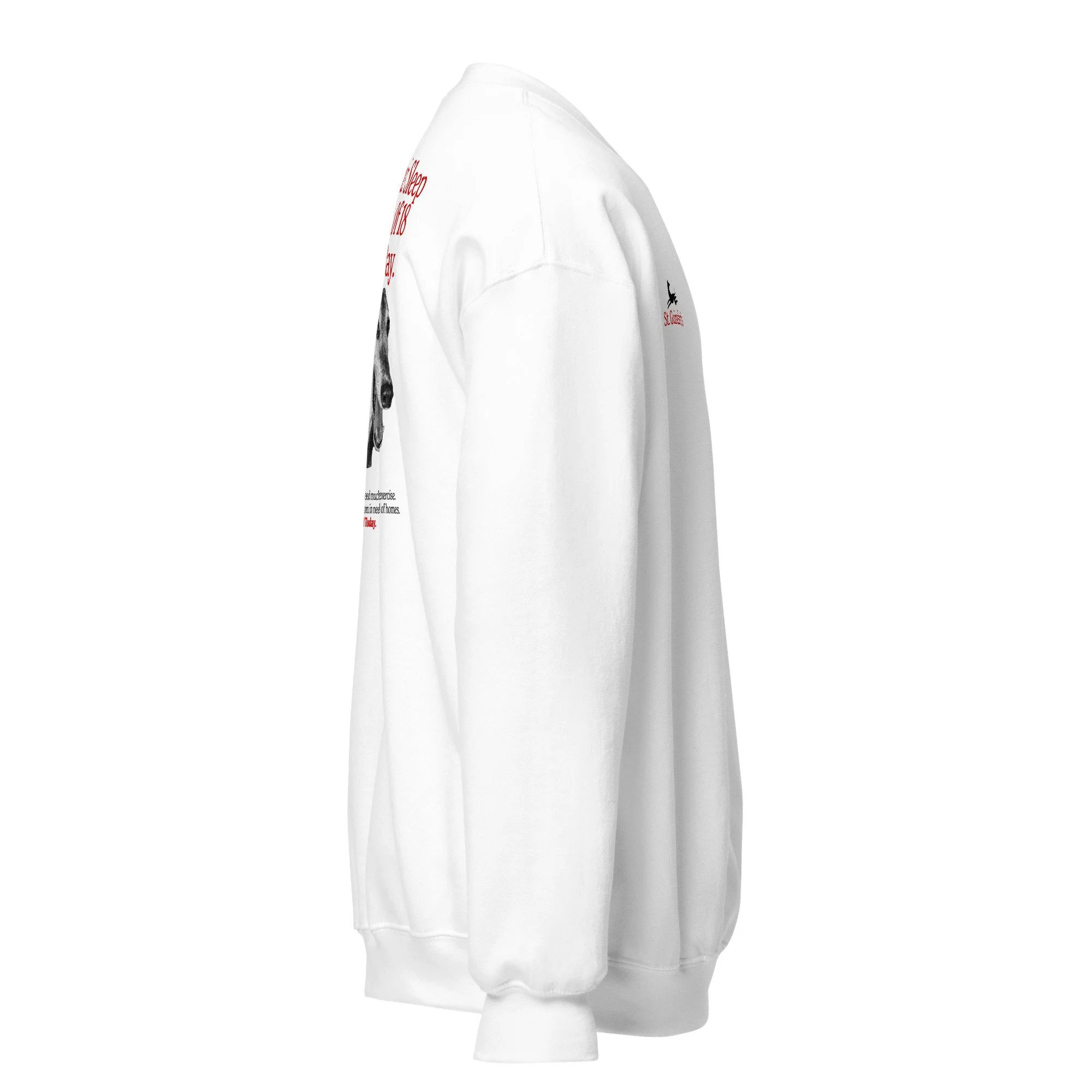 unisex-crew-neck-sweatshirt-white-right-692daebec274a.jpg