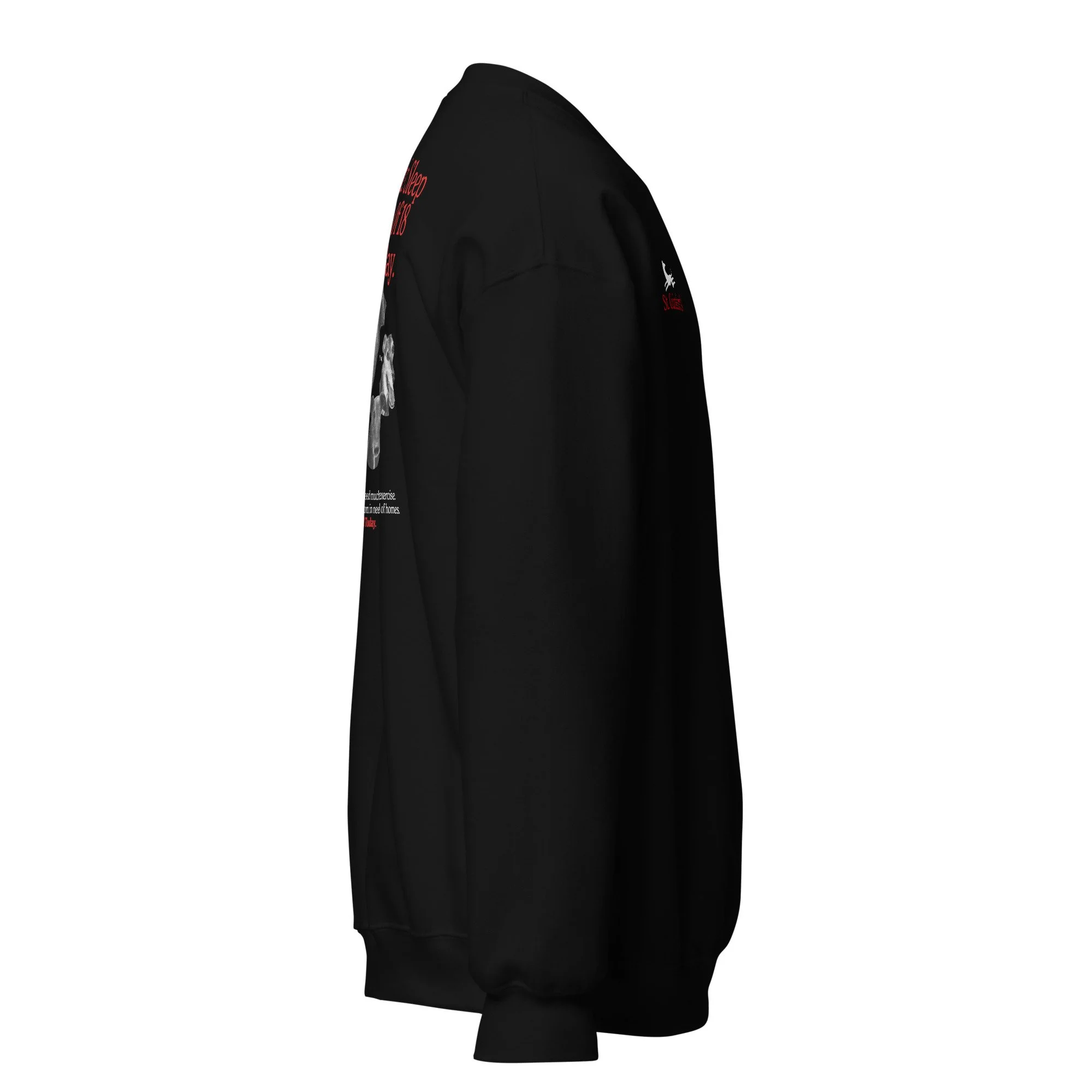 unisex-crew-neck-sweatshirt-black-right-69356cf14399a.jpg