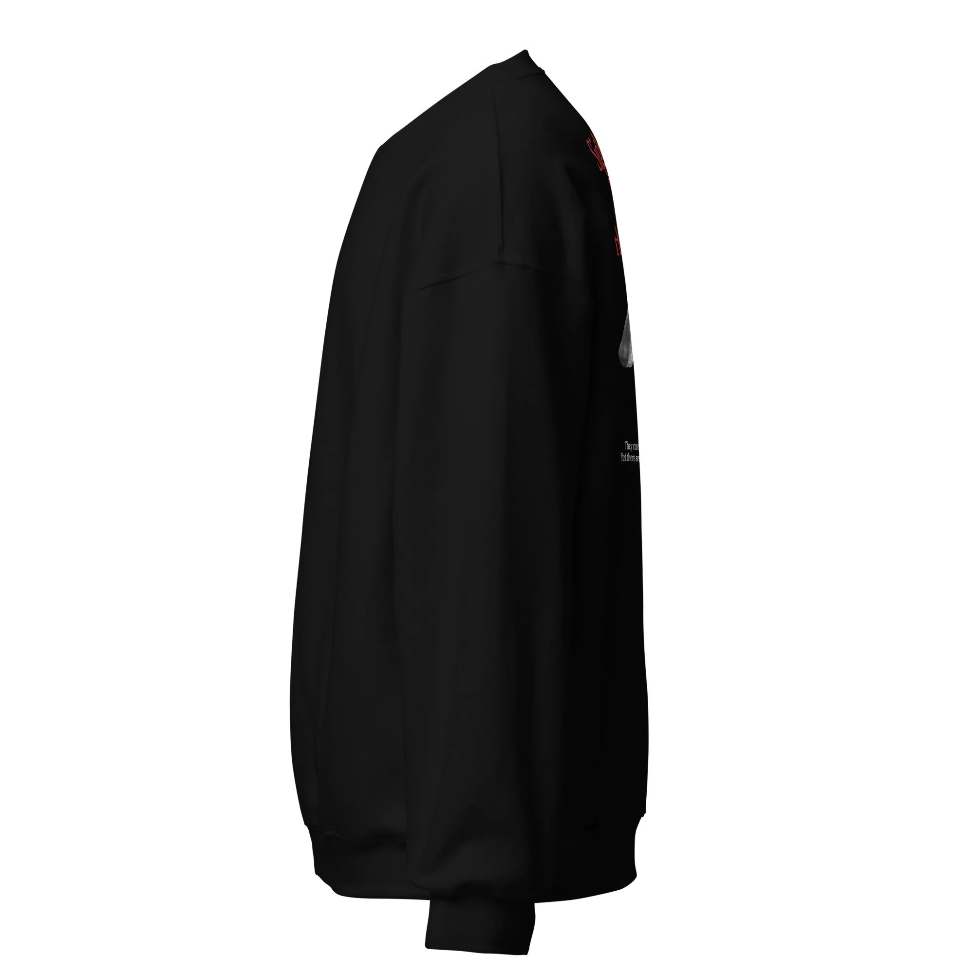 unisex-crew-neck-sweatshirt-black-left-6936d2a7cd720.jpg