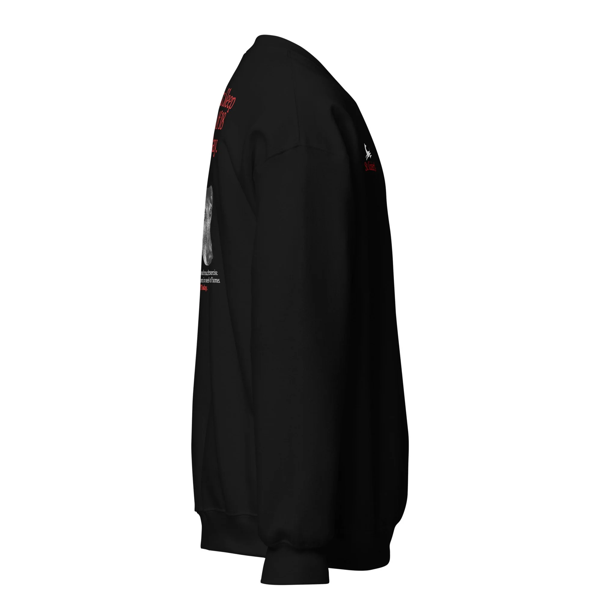 unisex-crew-neck-sweatshirt-black-right-6936d2a7ce71c.jpg