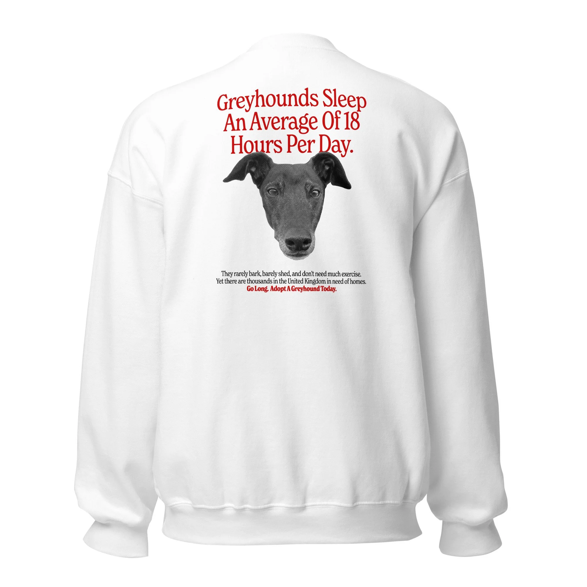 unisex-crew-neck-sweatshirt-white-back-69381786aeca9.jpg
